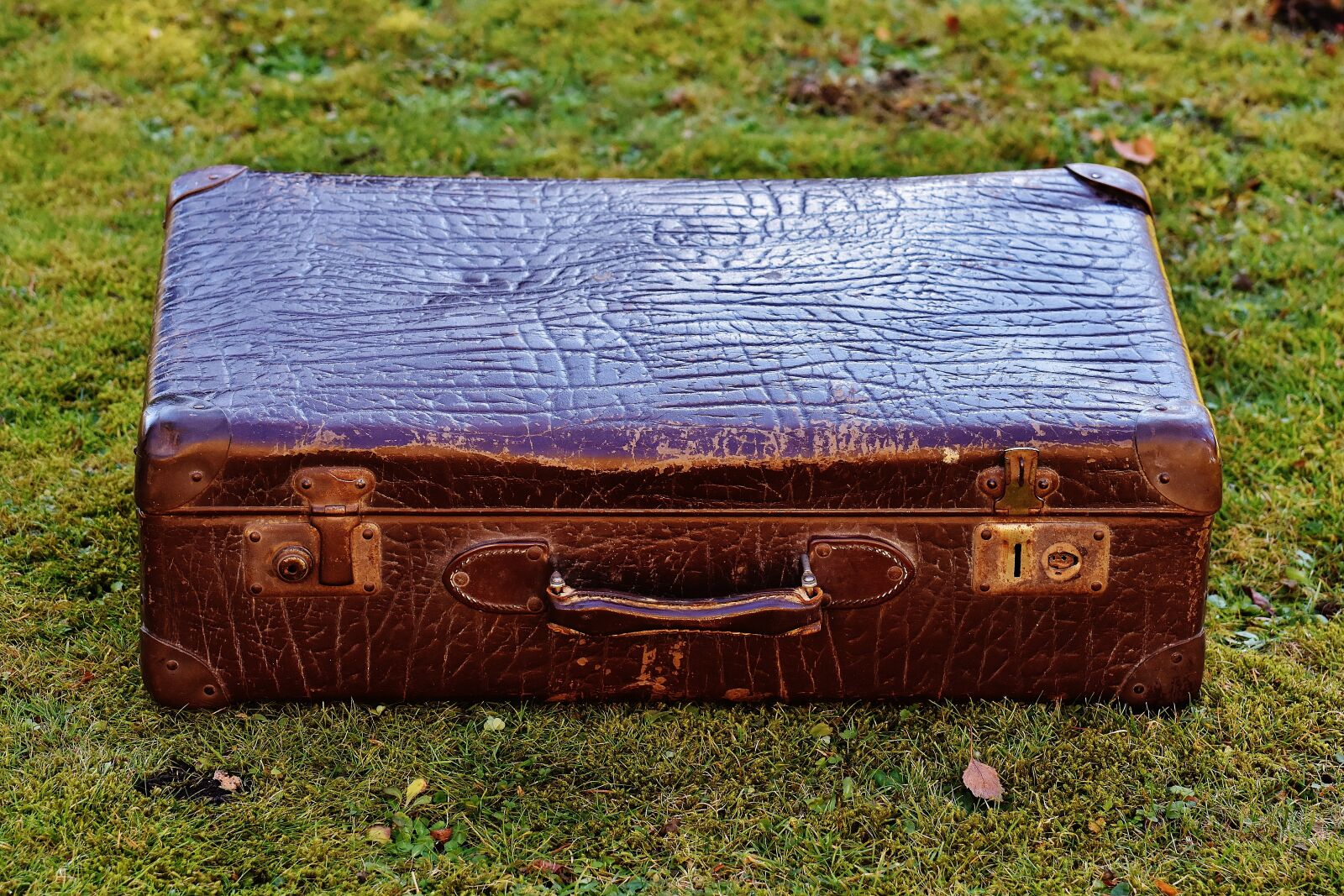 Nikon D7200 sample photo. Luggage, antique, leather photography