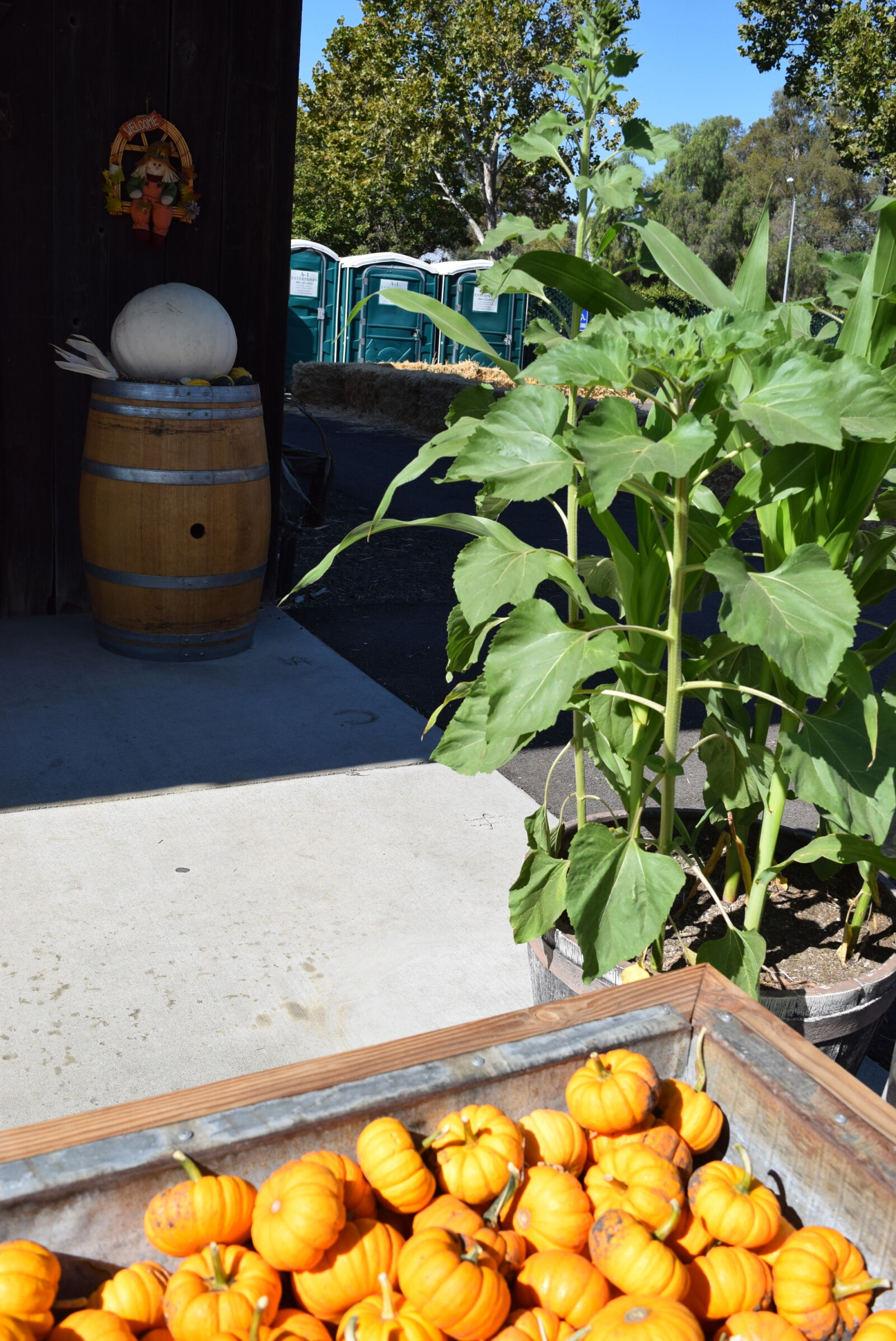 Nikon D3300 sample photo