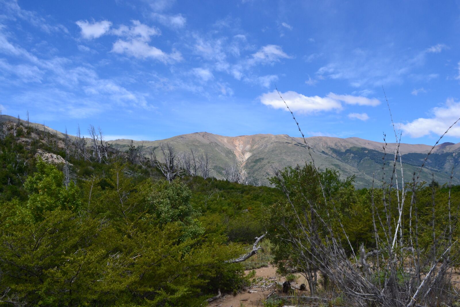 Nikon D3100 sample photo. Argentina, mountains, sky photography
