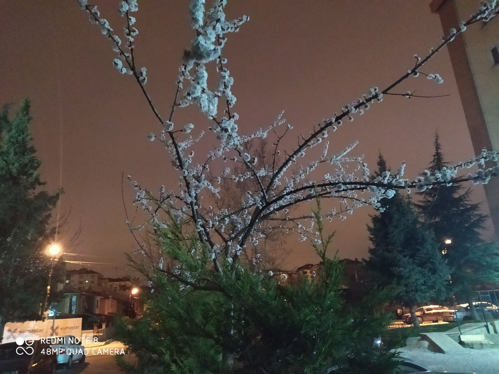 Xiaomi Redmi Note 8 sample photo. Eskisehir turkey, beauty, nature photography