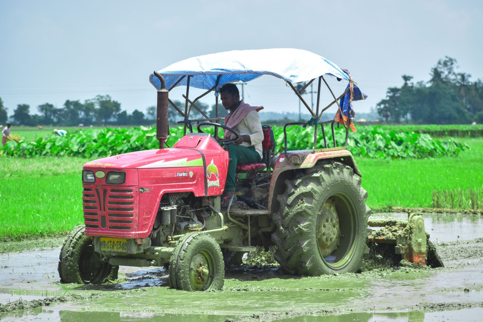 Nikon D3500 sample photo. Machinery, farmer, field photography