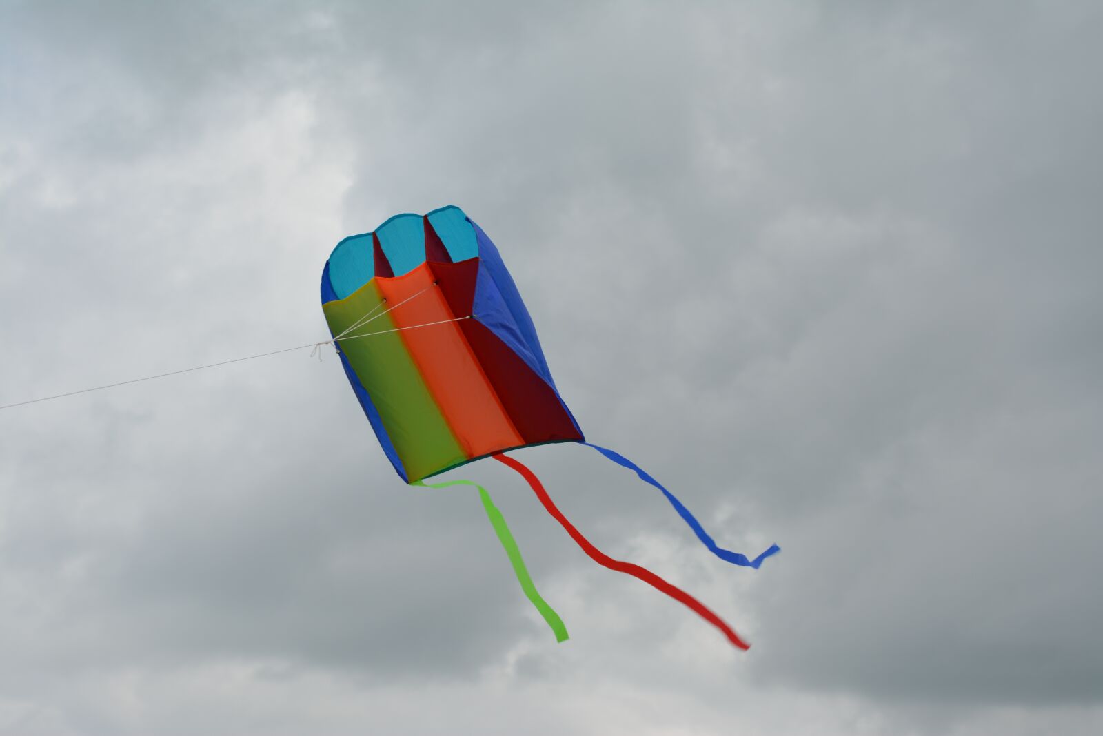 Nikon D5200 sample photo. Kite, air, snakes photography
