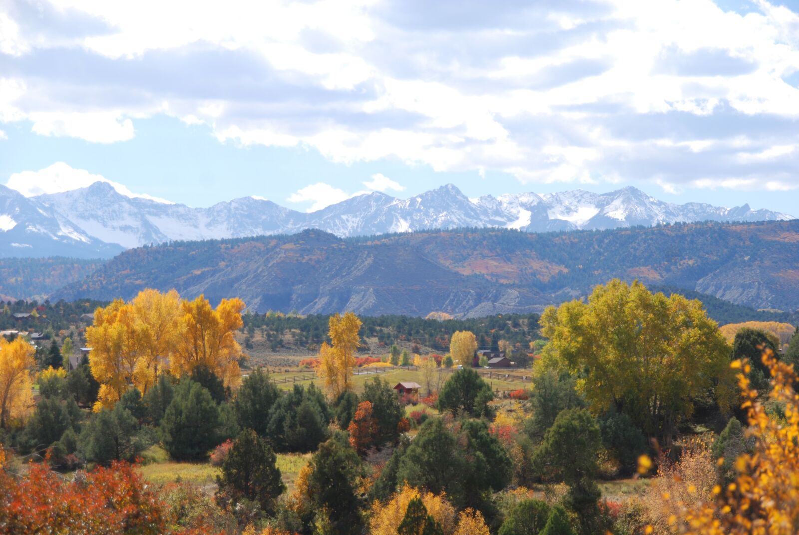 Nikon D80 sample photo. Nature, travel, tree photography