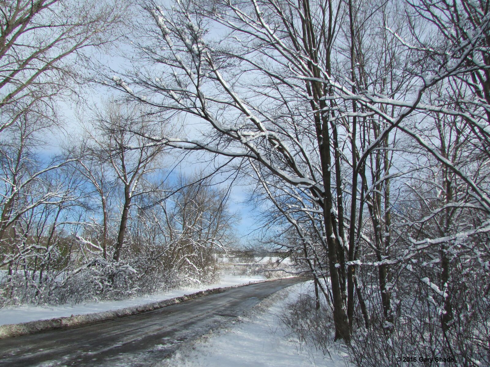 Canon PowerShot SX500 IS sample photo. Snow, road, nature photography
