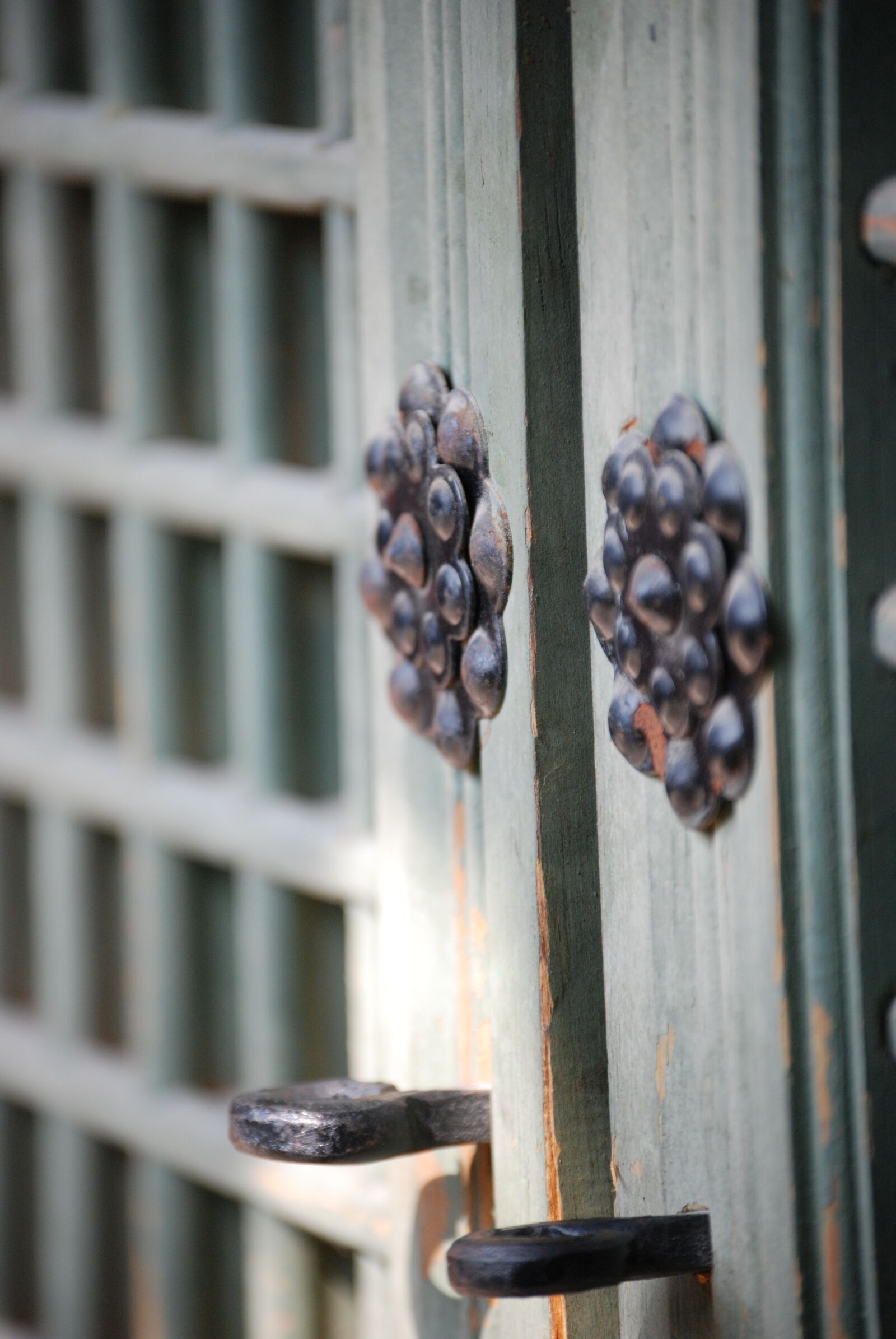 Nikon D80 sample photo. Moon, door, hinges photography
