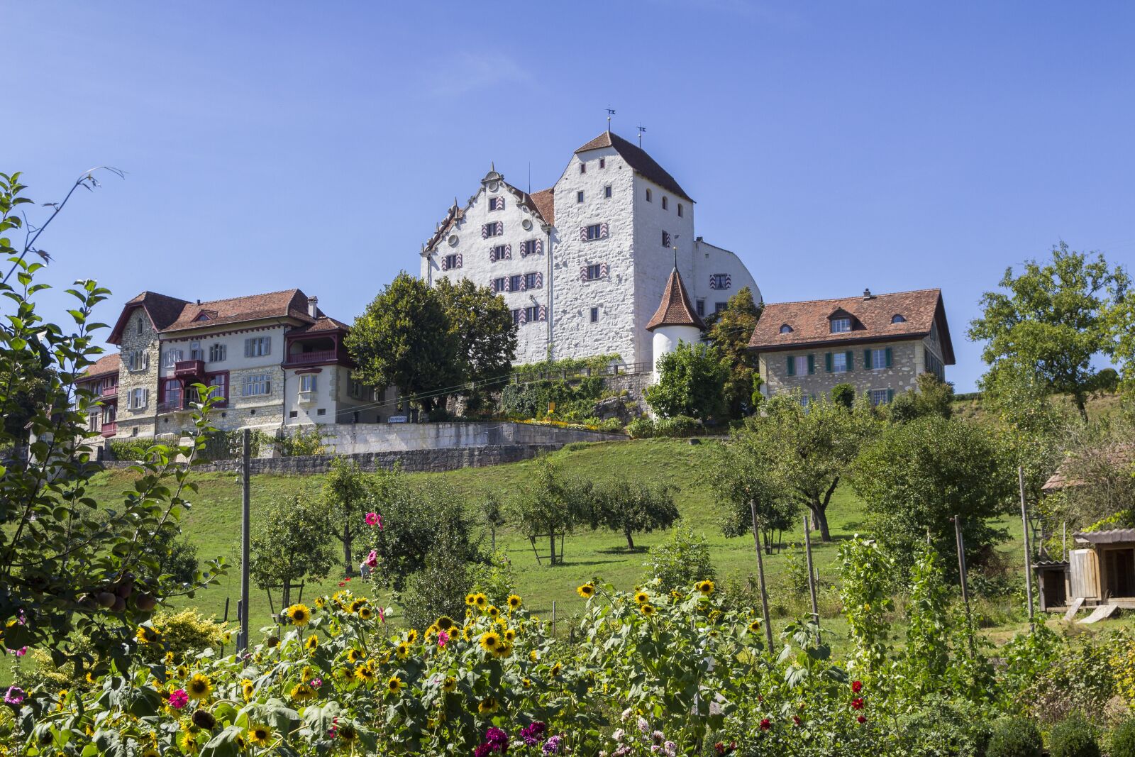 Canon EOS 600D (Rebel EOS T3i / EOS Kiss X5) sample photo. Castle, wildegg, s photography