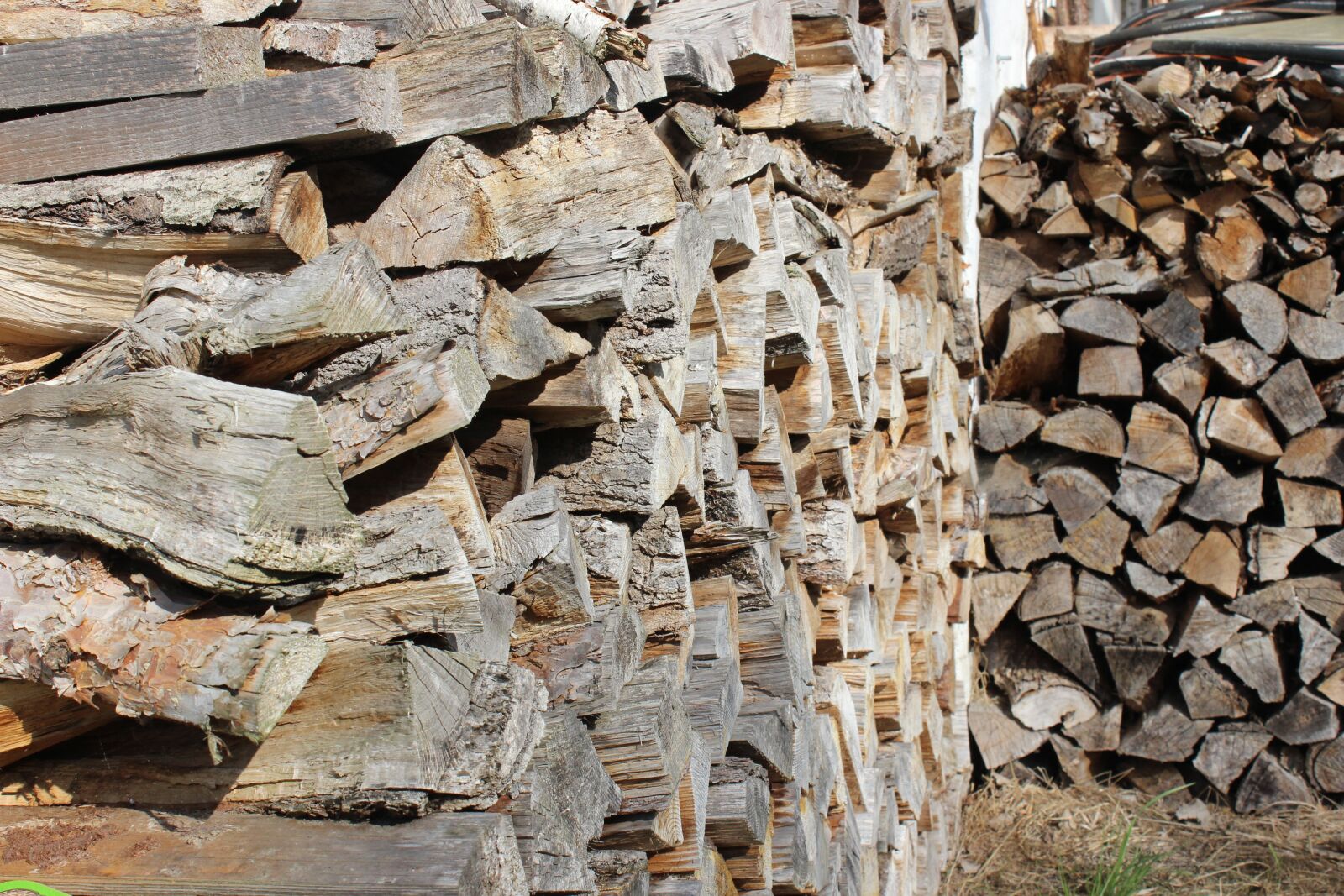 Canon EOS 600D (Rebel EOS T3i / EOS Kiss X5) sample photo. Wood, log, firewood photography