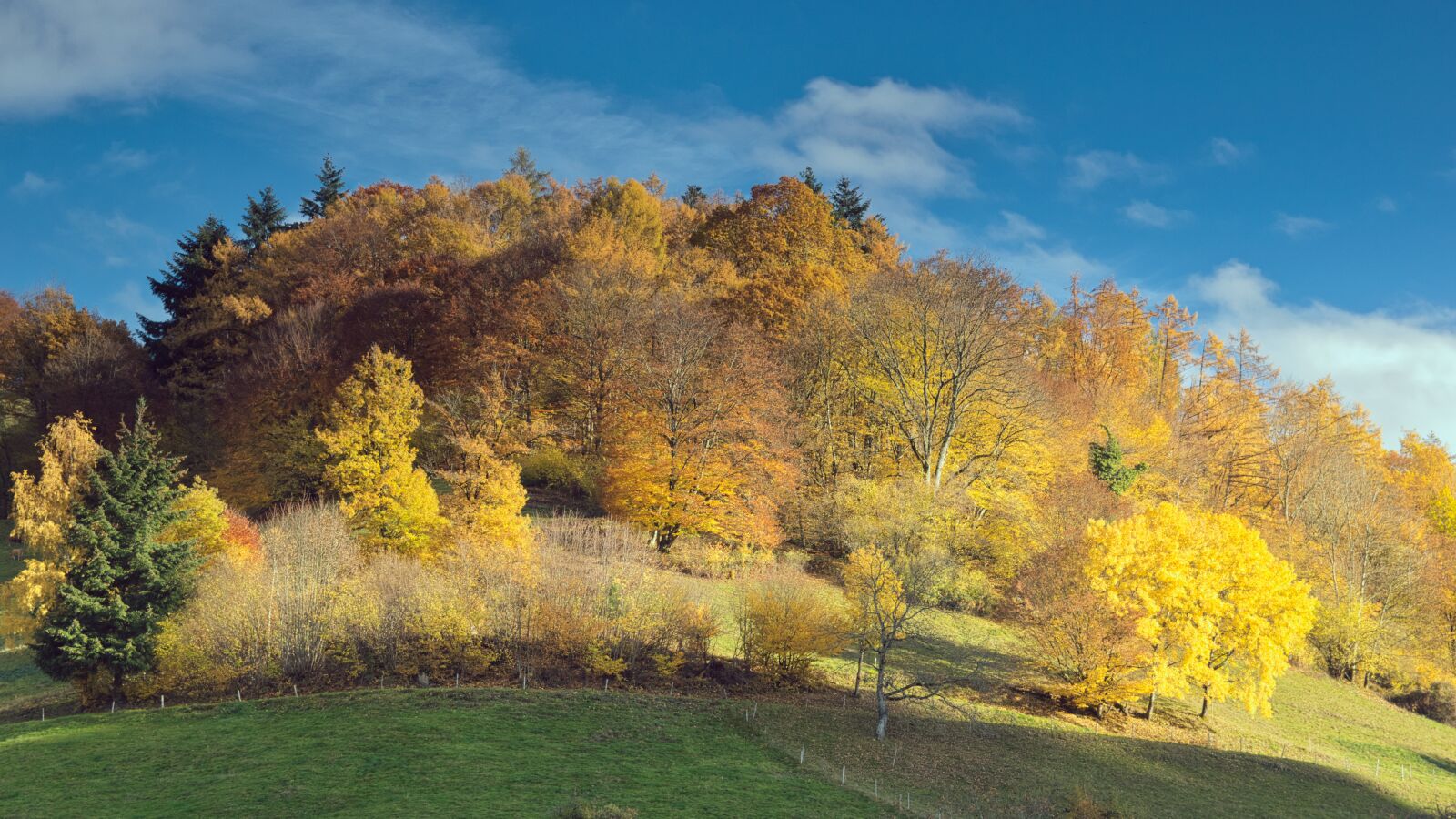 Nikon D5300 sample photo. Autumn landscape, autumn, nature photography