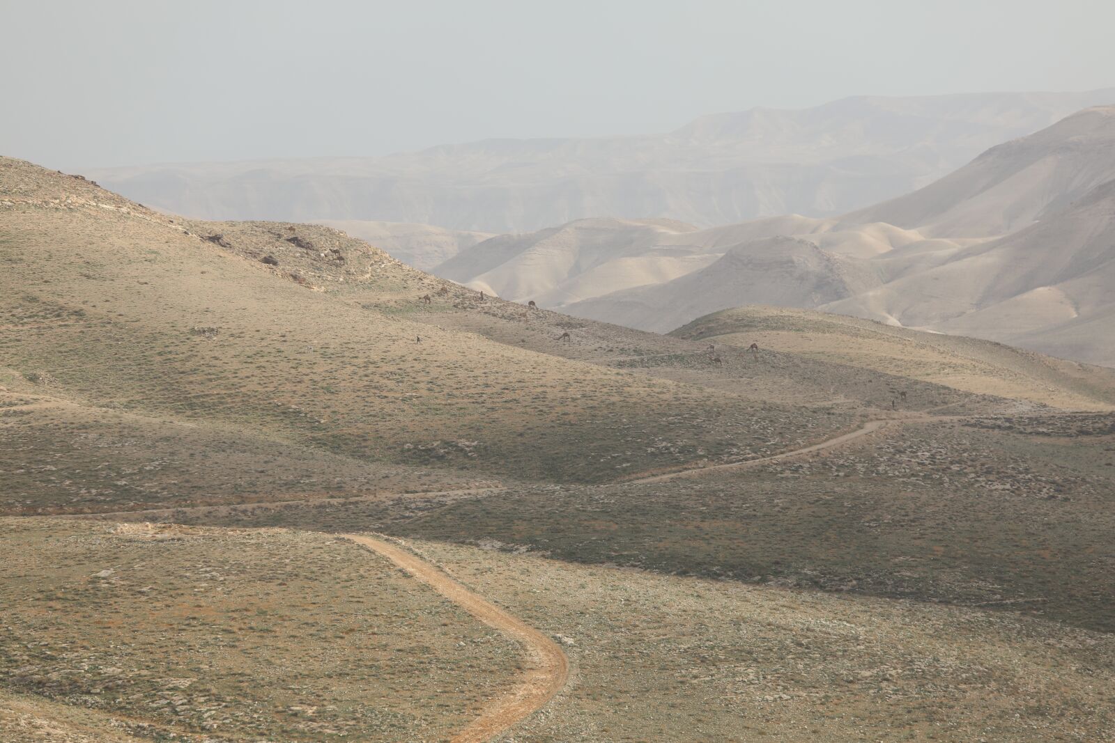 Canon EF 70-200mm F2.8L USM sample photo. Desert, mounts, nature photography