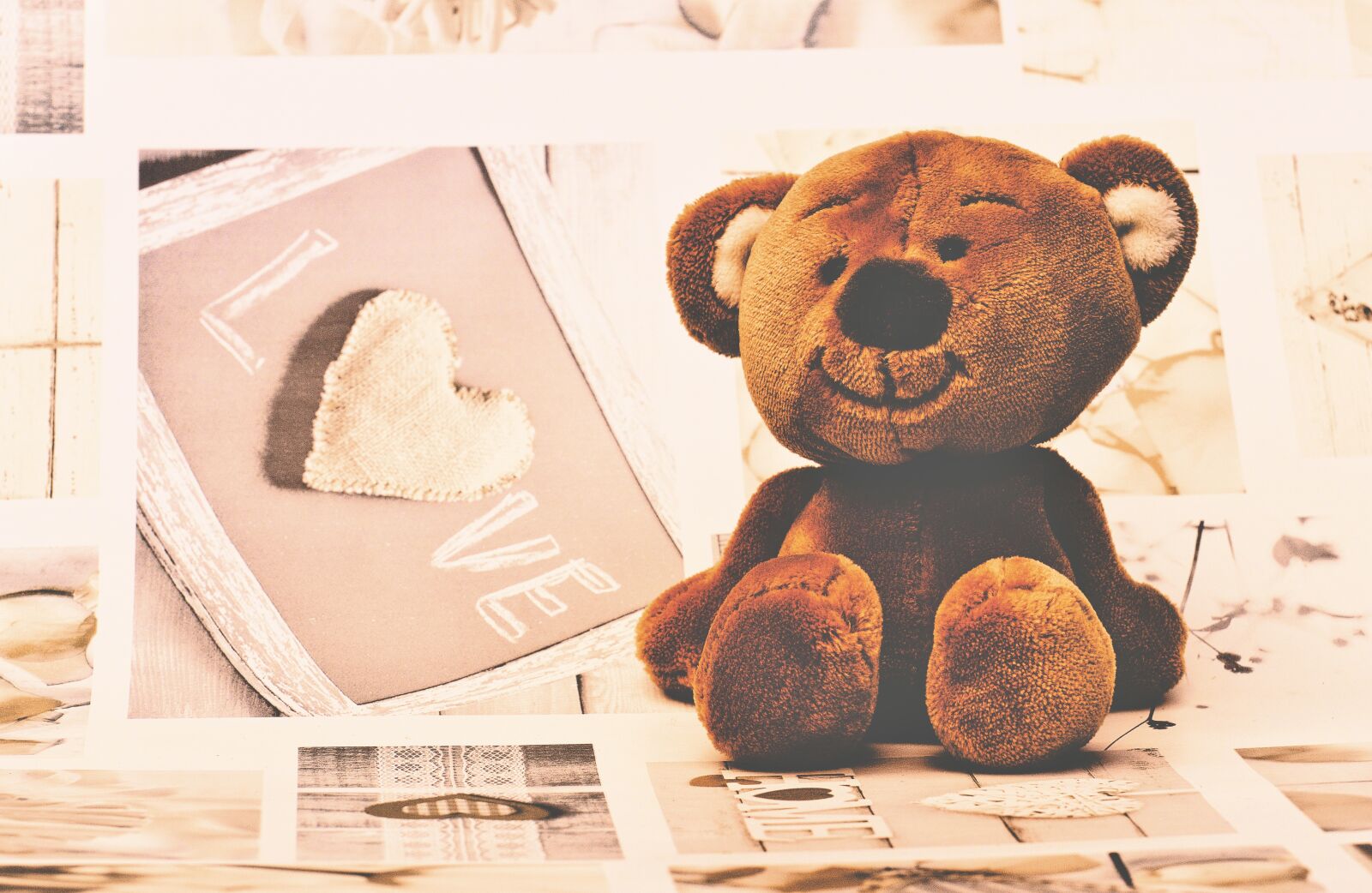 Nikon D3200 sample photo. Teddy bear, teddy, soft photography
