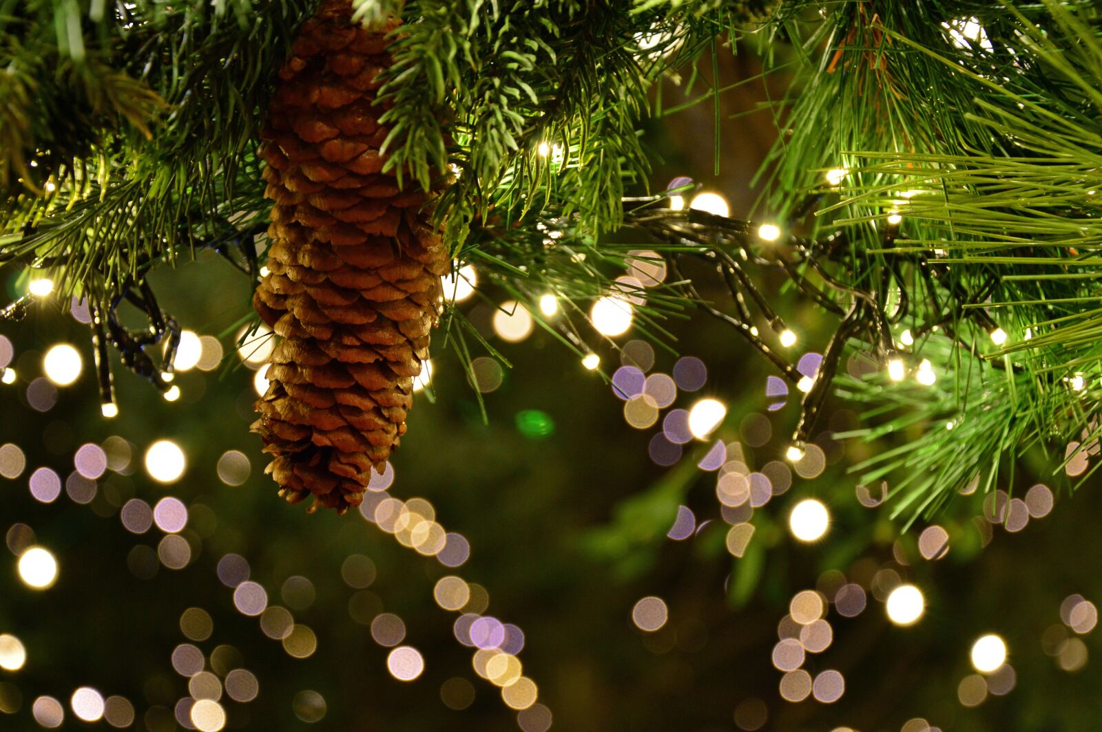 Nikon D3200 sample photo. Christmas garland, christmas motif photography