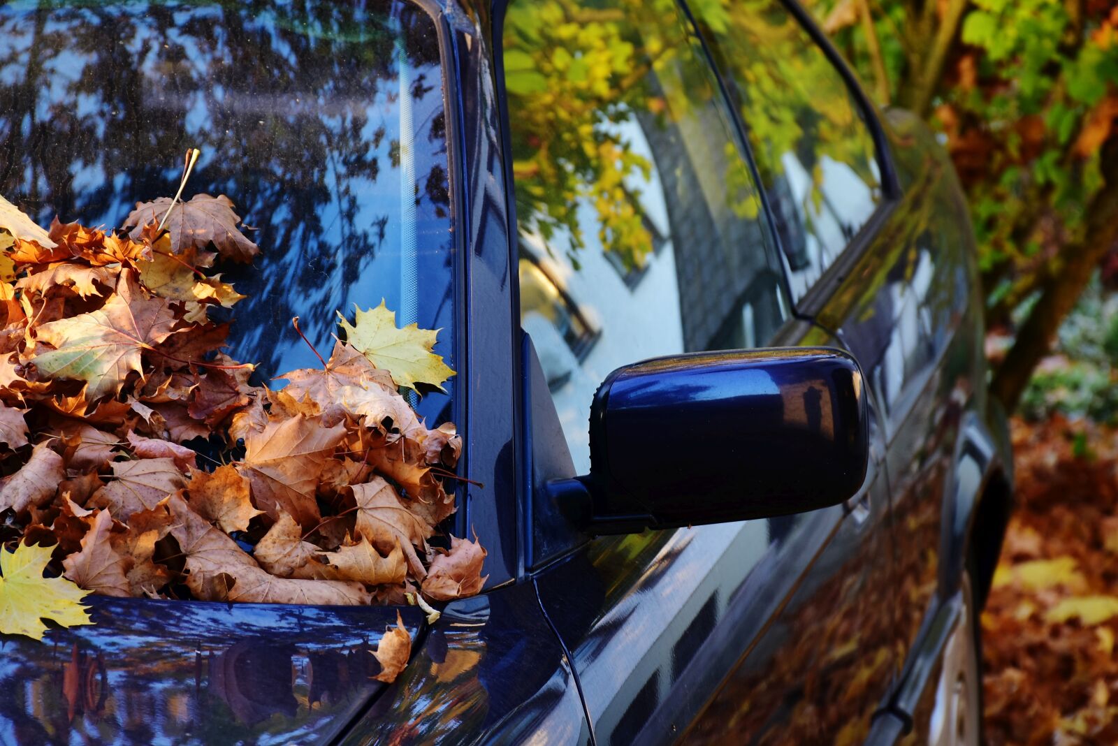 Nikon D7200 sample photo. Auto, paint, black photography