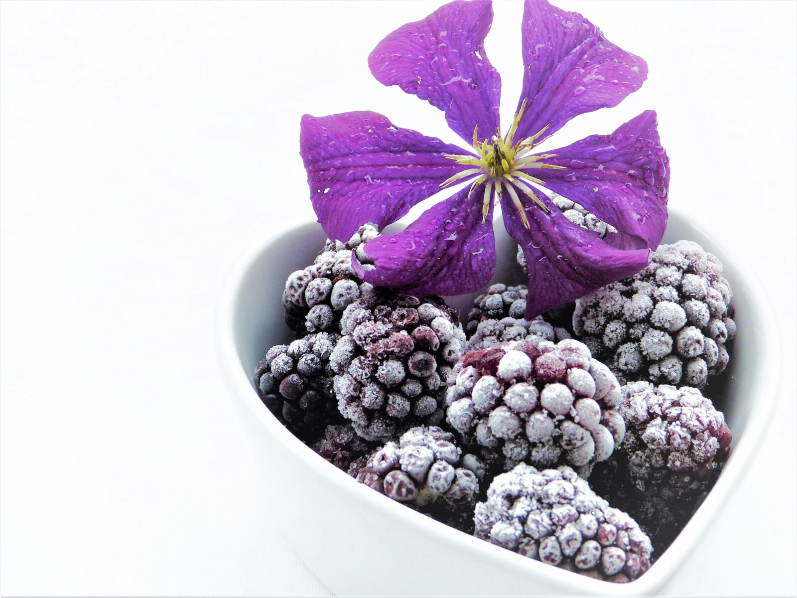 Panasonic Lumix DMC-FZ150 sample photo. Blackberries, frozen, clematis photography