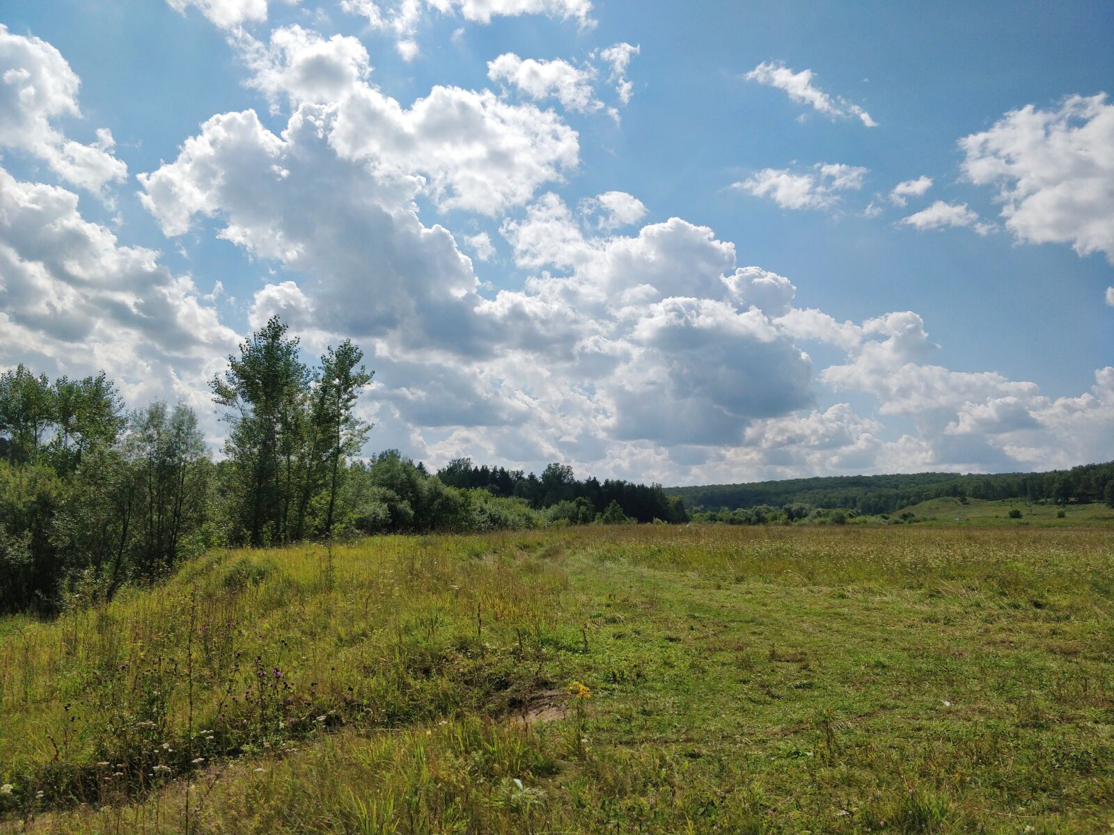 OnePlus 5T sample photo. Nature, meadow, sky photography