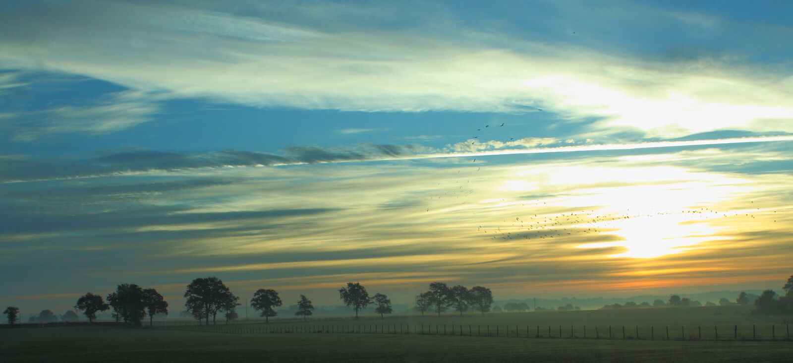 Canon EOS 450D (EOS Rebel XSi / EOS Kiss X2) sample photo. Landscape, sunrise, trees photography