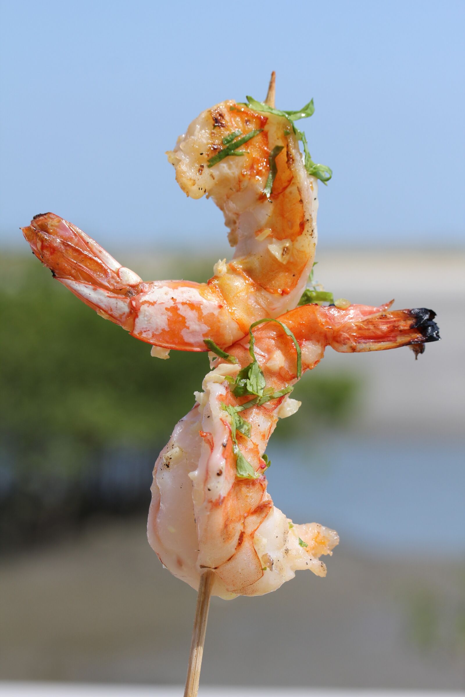 Canon EOS 550D (EOS Rebel T2i / EOS Kiss X4) sample photo. Food, macro, shrimp photography