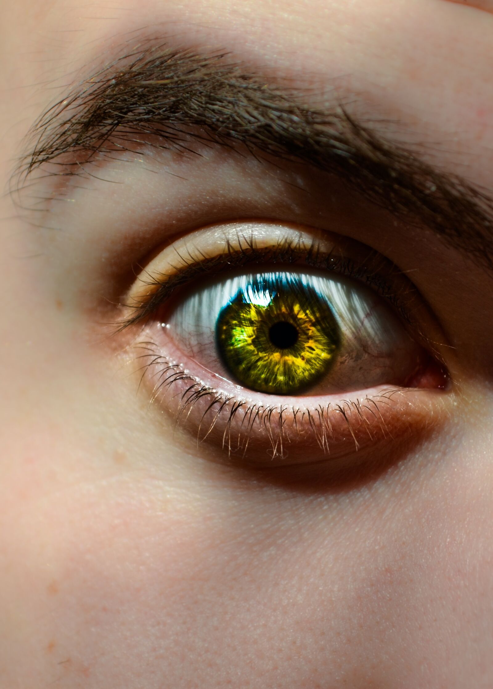 Nikon D3100 sample photo. œil, face, eye photography