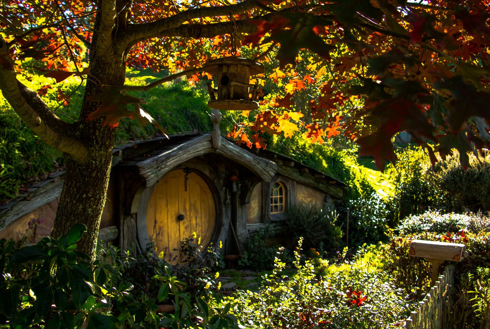 Canon EOS 760D (EOS Rebel T6s / EOS 8000D) sample photo. Lord of the rings photography