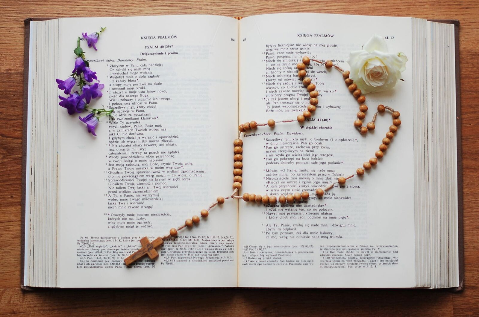 Nikon D40 sample photo. Book, bible, the scriptures photography