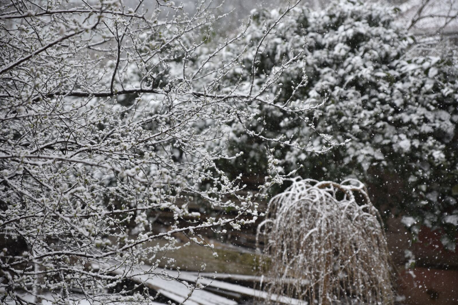 Nikon D750 sample photo. Snow, winter, ice photography