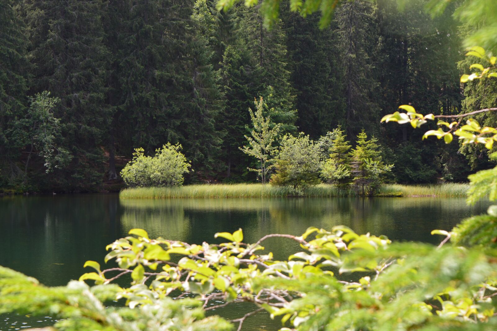 Nikon D5200 sample photo. Vrbick pleso, clear, dem photography