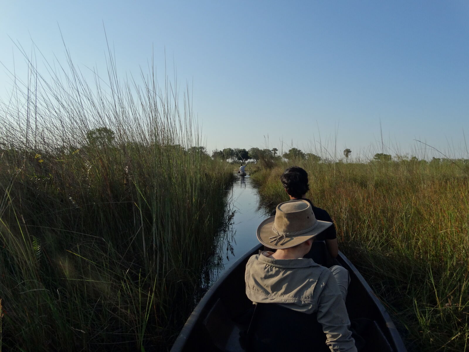 Sony Cyber-shot DSC-HX300 sample photo. Botswana, okawango, delta photography