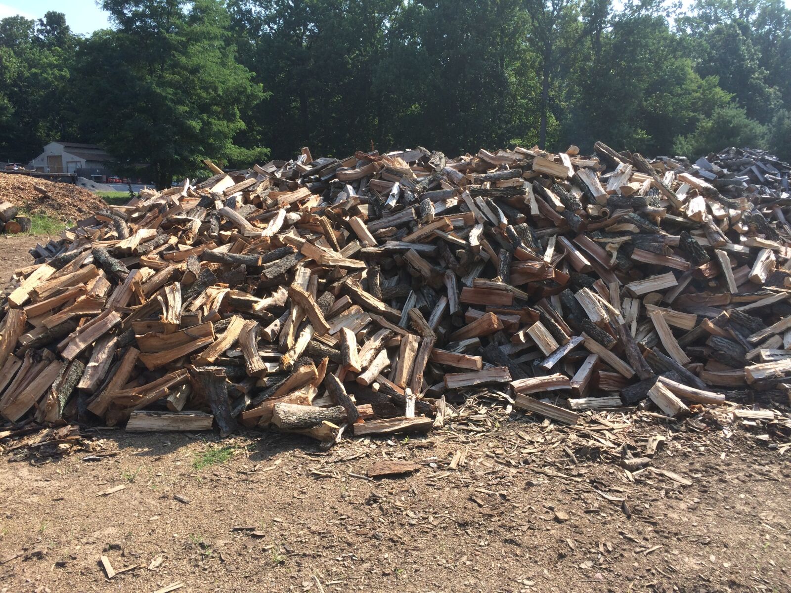 Apple iPhone 5s sample photo. Firewood, woodpile, timber photography