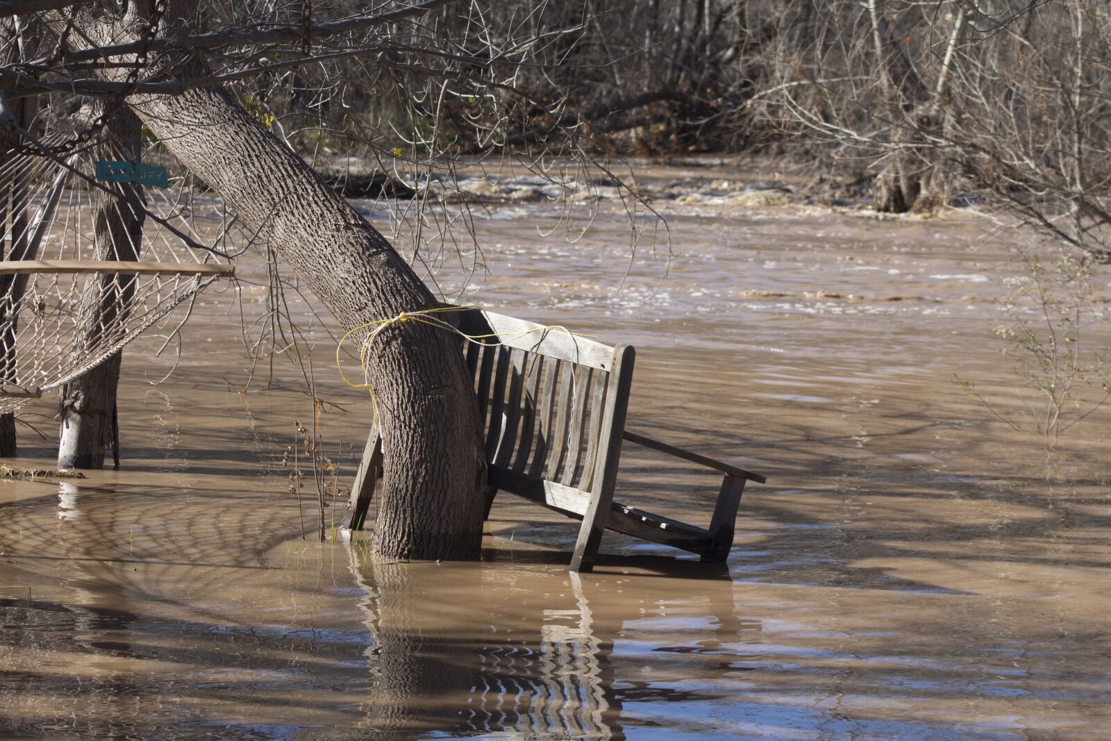 Canon EOS 650D (EOS Rebel T4i / EOS Kiss X6i) sample photo. Water, wood, nature photography