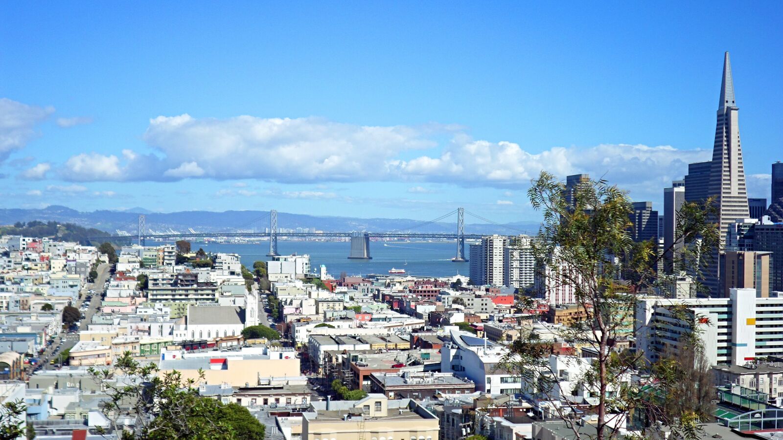 Samsung MV900F sample photo. Sanfrancisco, travel, cityscape photography