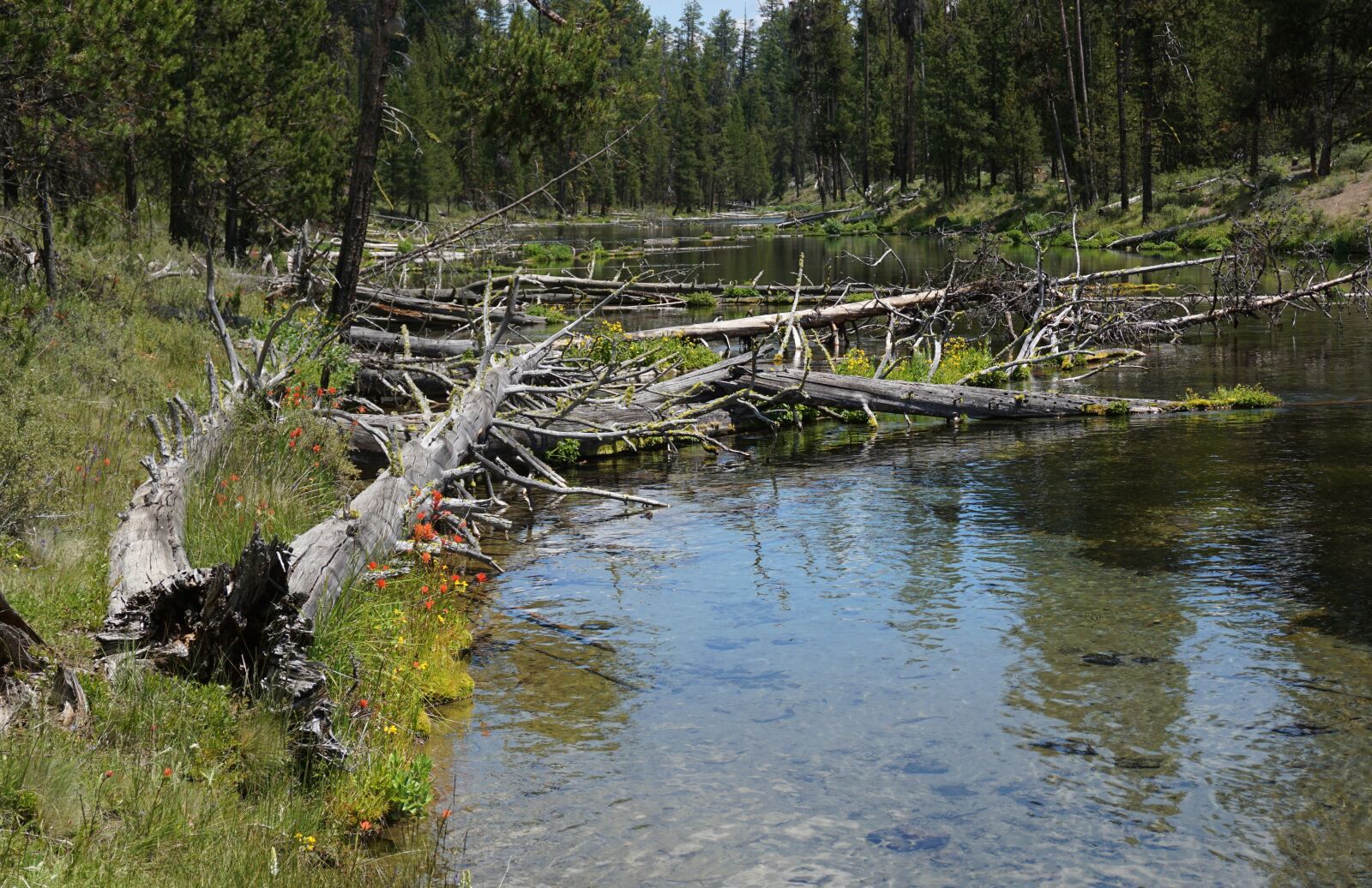 Sony E 16-50mm F3.5-5.6 PZ OSS sample photo. Stream, head water, river photography