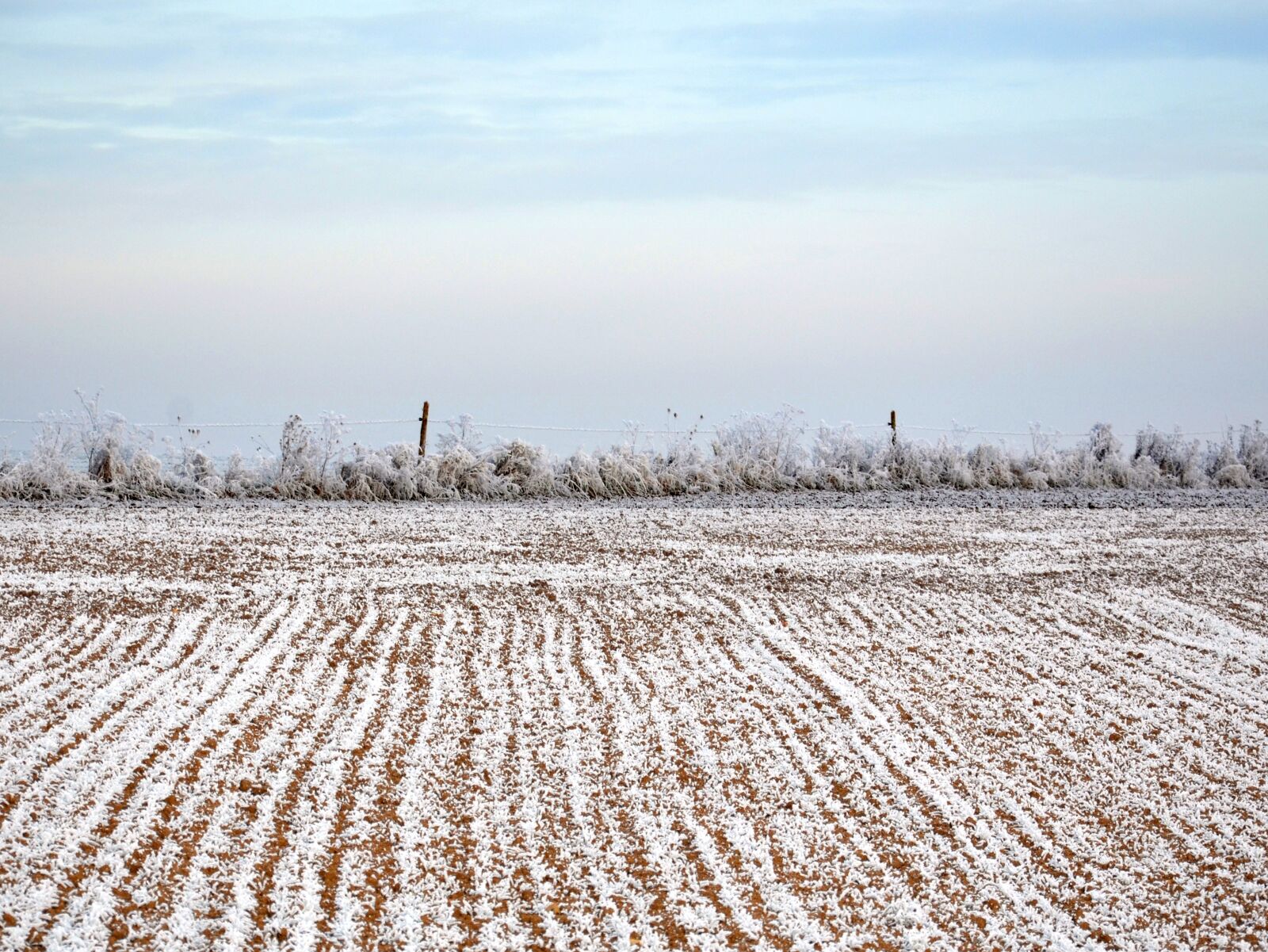 Nikon D5100 sample photo. Winter, landscape, field photography