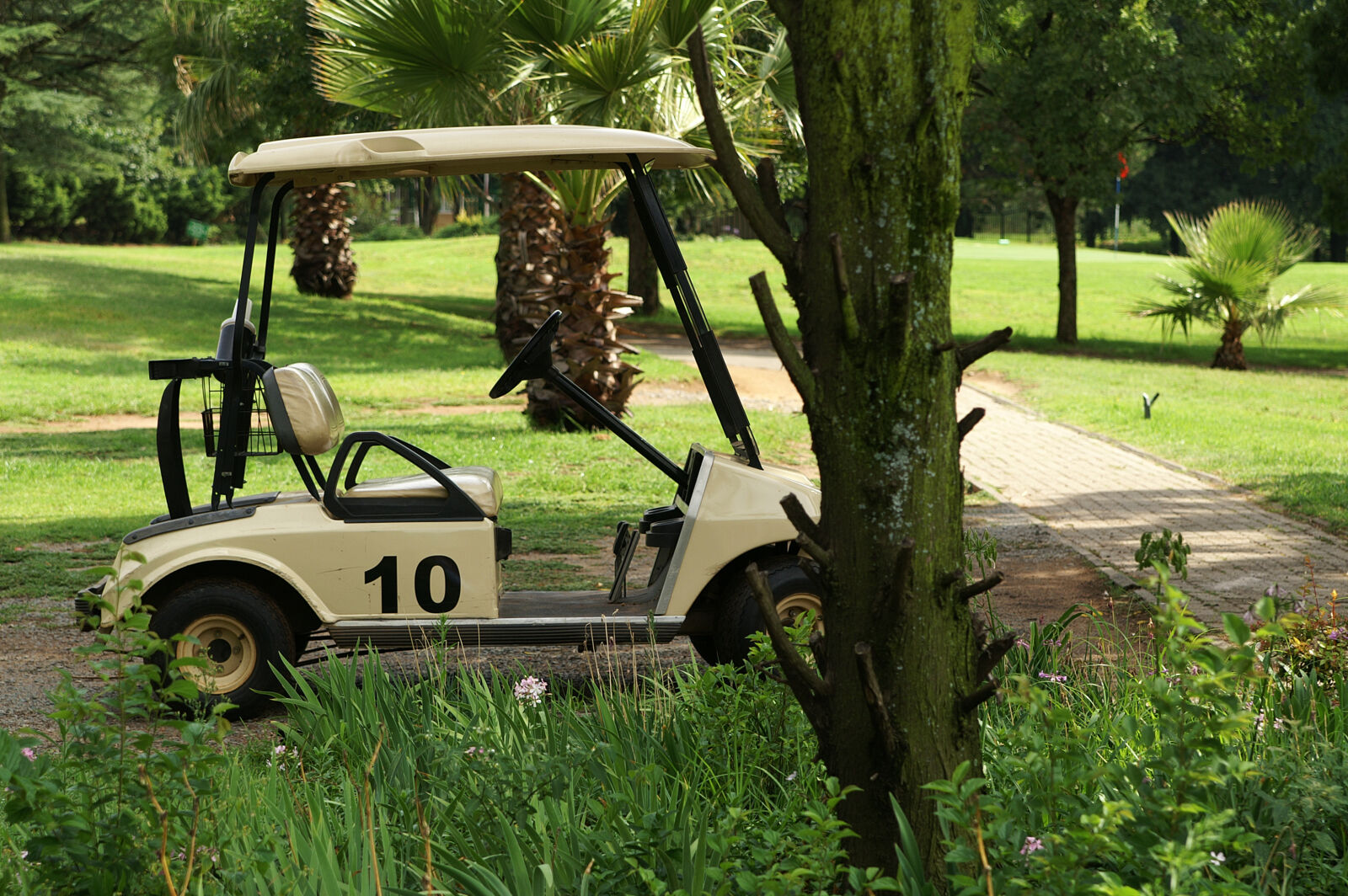 KONICA MINOLTA MAXXUM 7D sample photo. Golf, cart photography