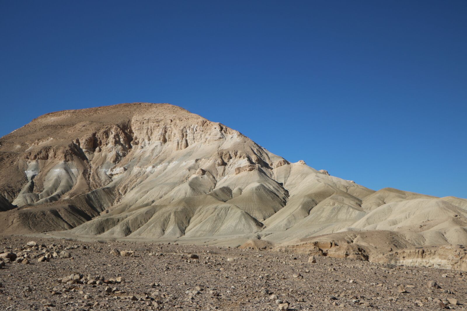 Canon EOS 760D (EOS Rebel T6s / EOS 8000D) sample photo. Desert, dry, sand photography