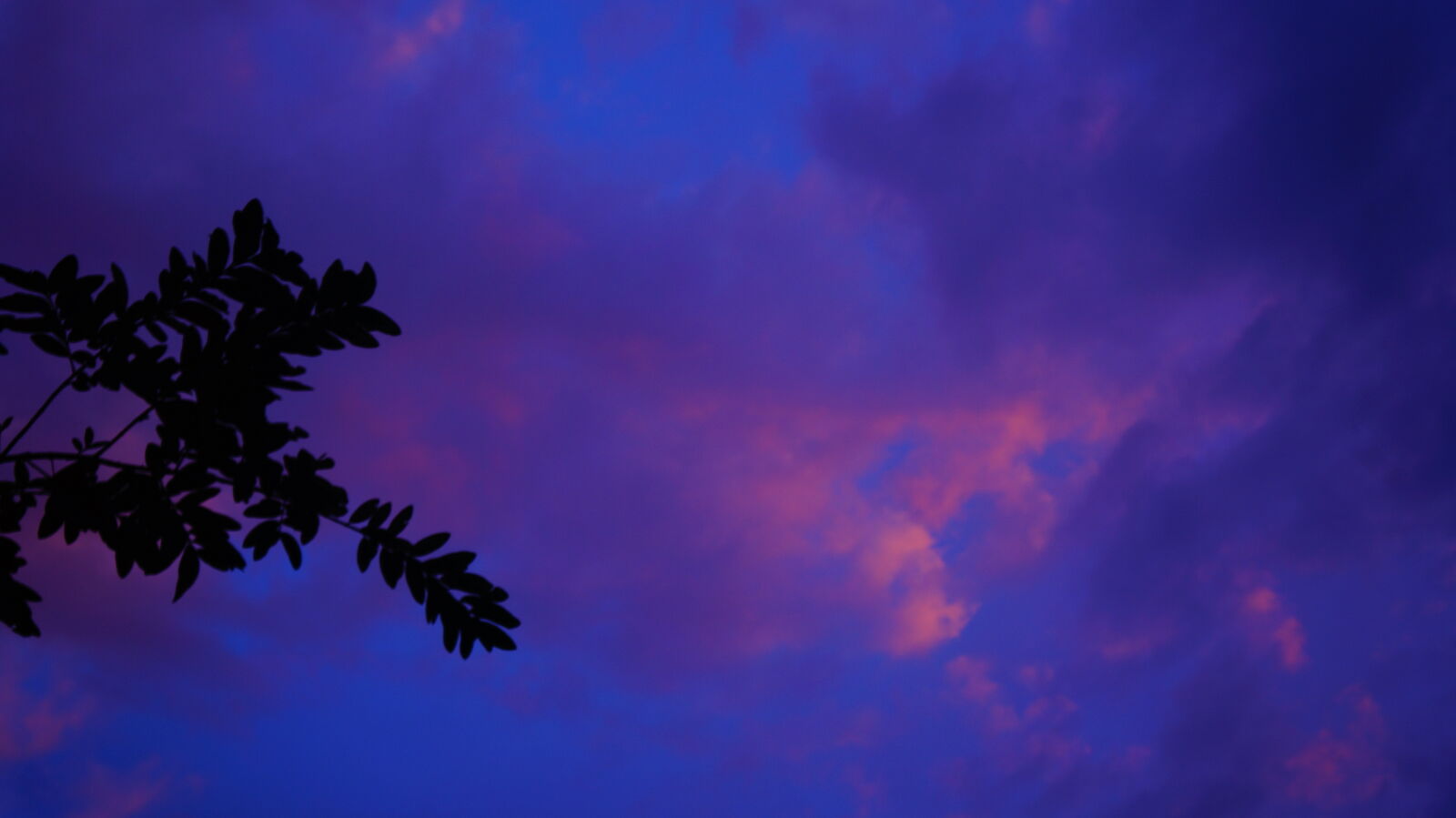 Sony E 18-55mm F3.5-5.6 OSS sample photo. Blue, clouds, evening, sky photography