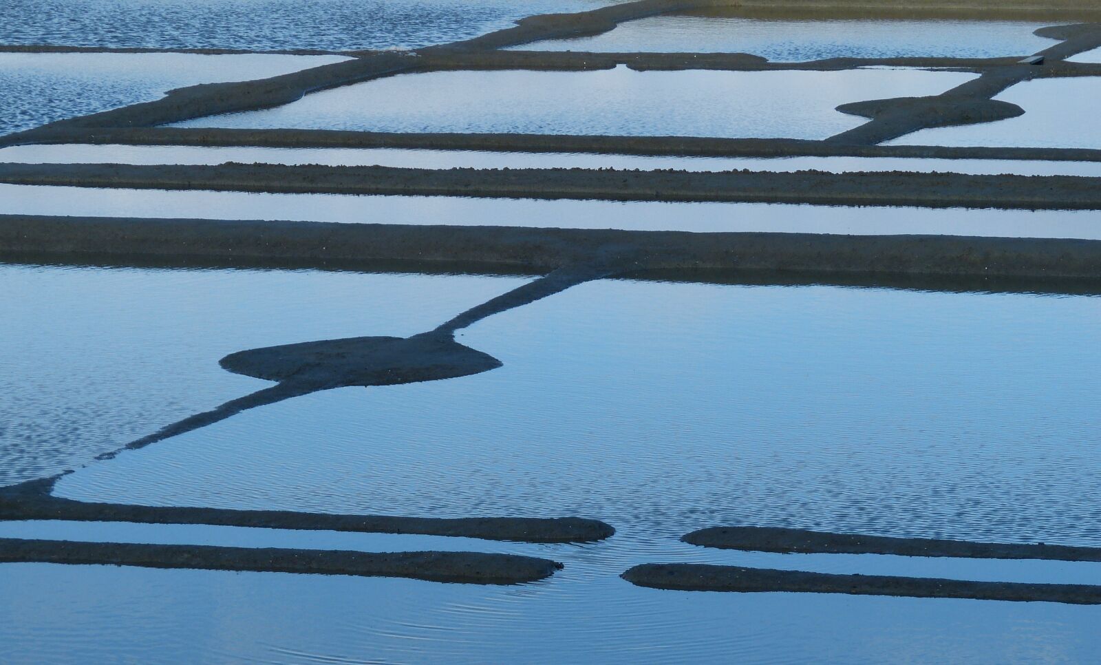 Panasonic Lumix DMC-FZ150 sample photo. Salt marshes, gu rande photography