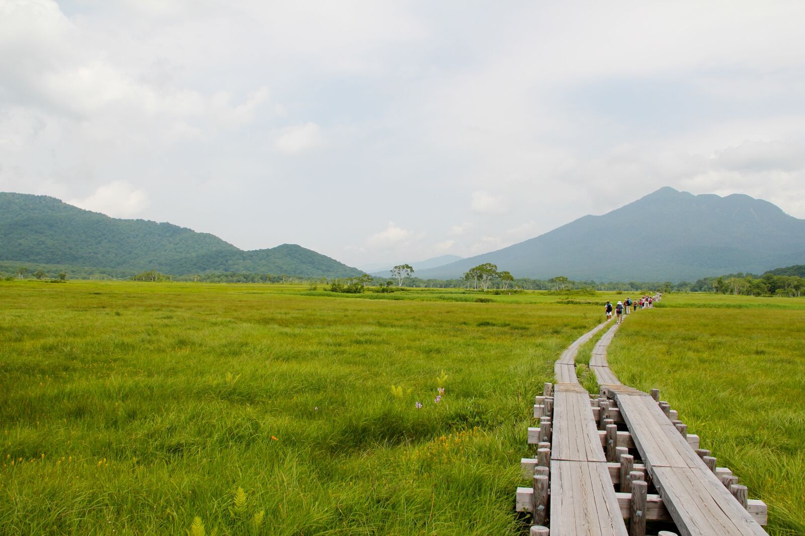 Canon EOS 550D (EOS Rebel T2i / EOS Kiss X4) sample photo. Oze, oze road, wooden photography