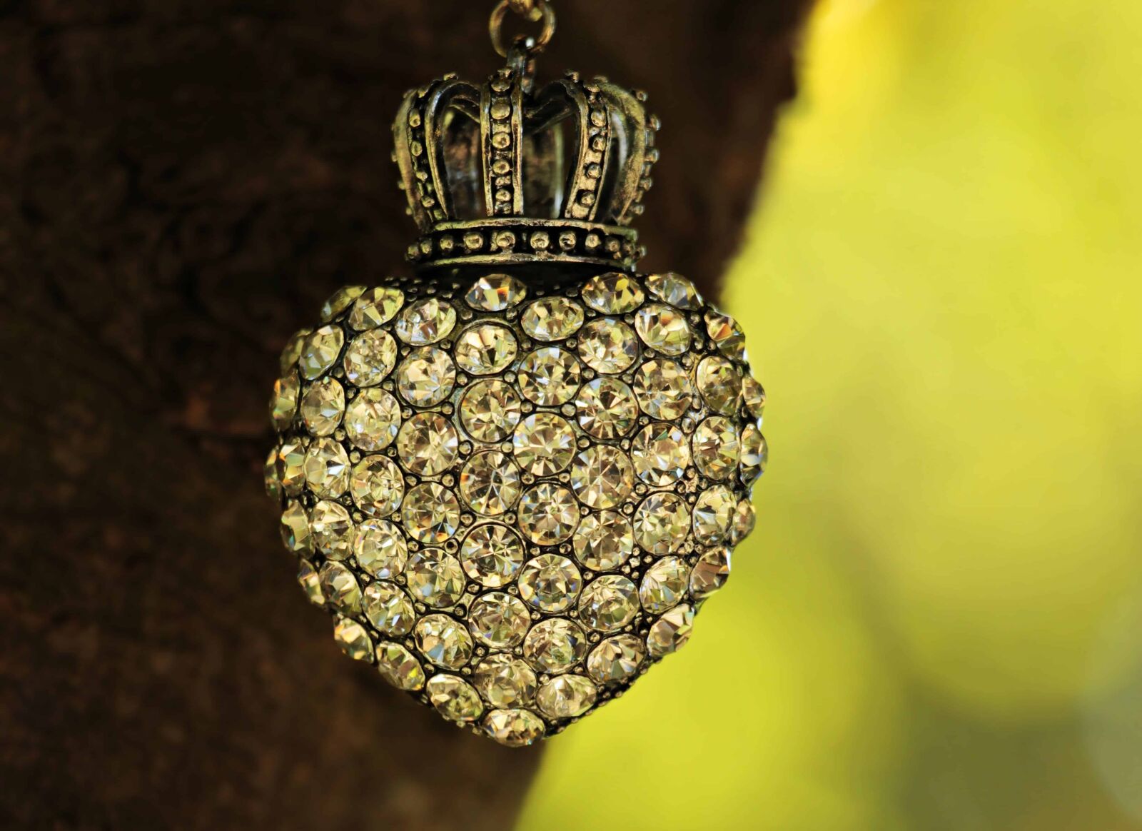 Canon EOS 100D (EOS Rebel SL1 / EOS Kiss X7) sample photo. Crown, tree, jewelry, outdoor photography