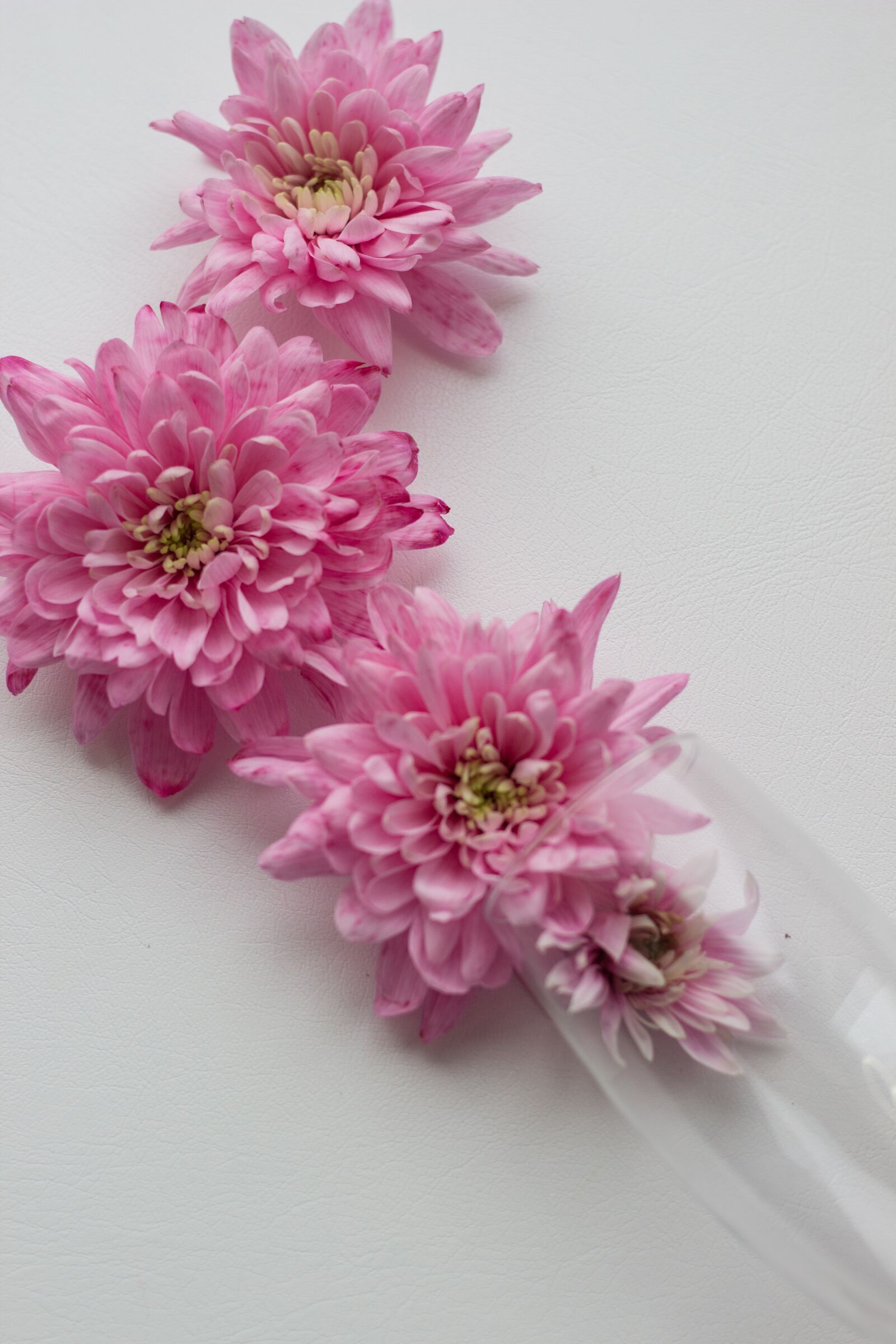 Canon EOS 600D (Rebel EOS T3i / EOS Kiss X5) + Canon EF 50mm F1.8 STM sample photo. Flowers, holiday, march 8 photography