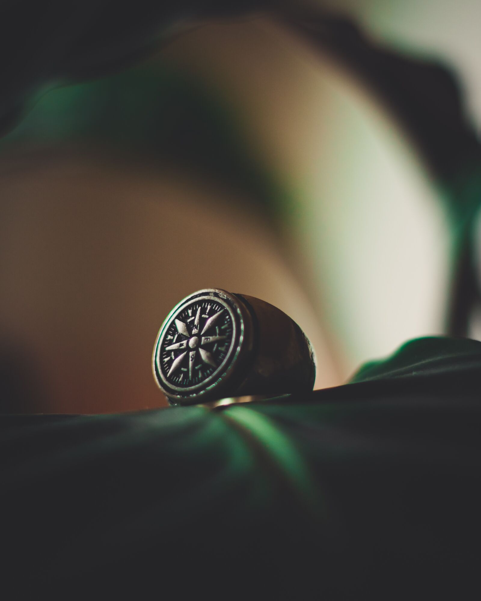 Canon EOS 700D (EOS Rebel T5i / EOS Kiss X7i) + Canon EF 50mm F1.8 STM sample photo. Green, plant, ring photography