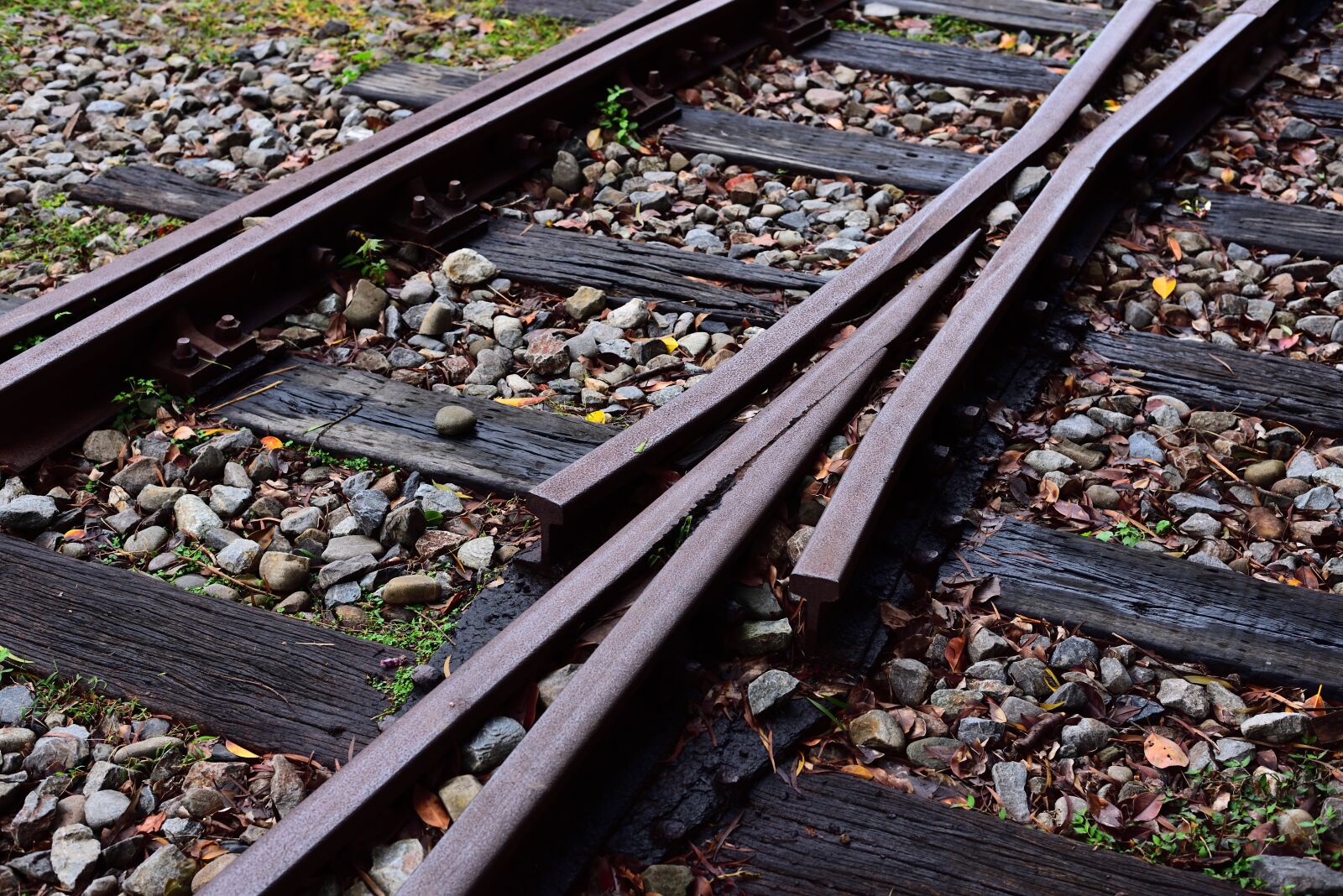 Nikon D750 sample photo. Rail, railway, tracks photography