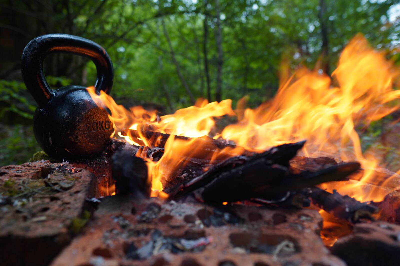 Sony a6400 + Sigma 16mm F1.4 DC DN | C sample photo. Carnivore, kettlebell, trening photography