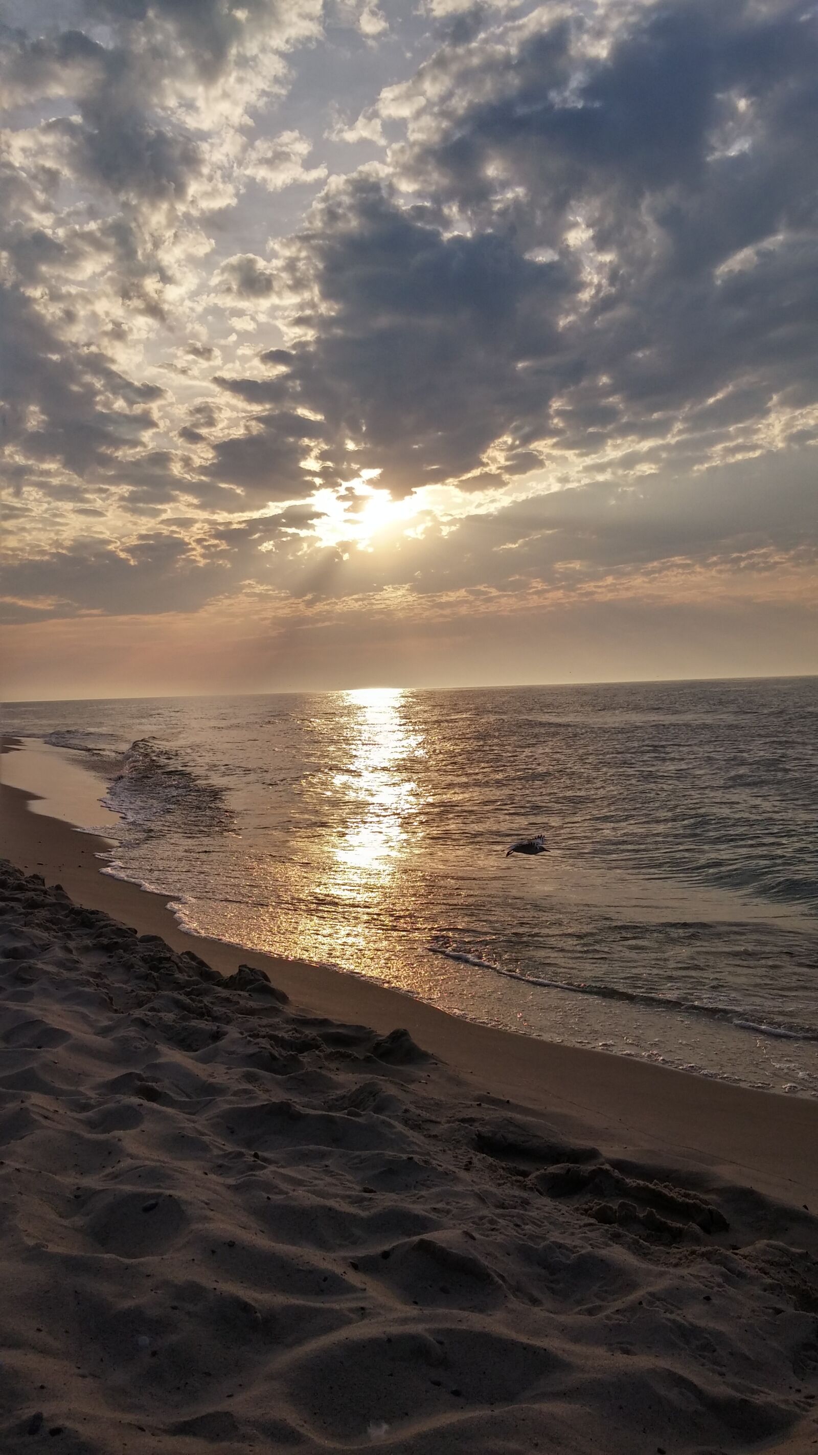 LG D855 sample photo. The baltic sea, beach photography