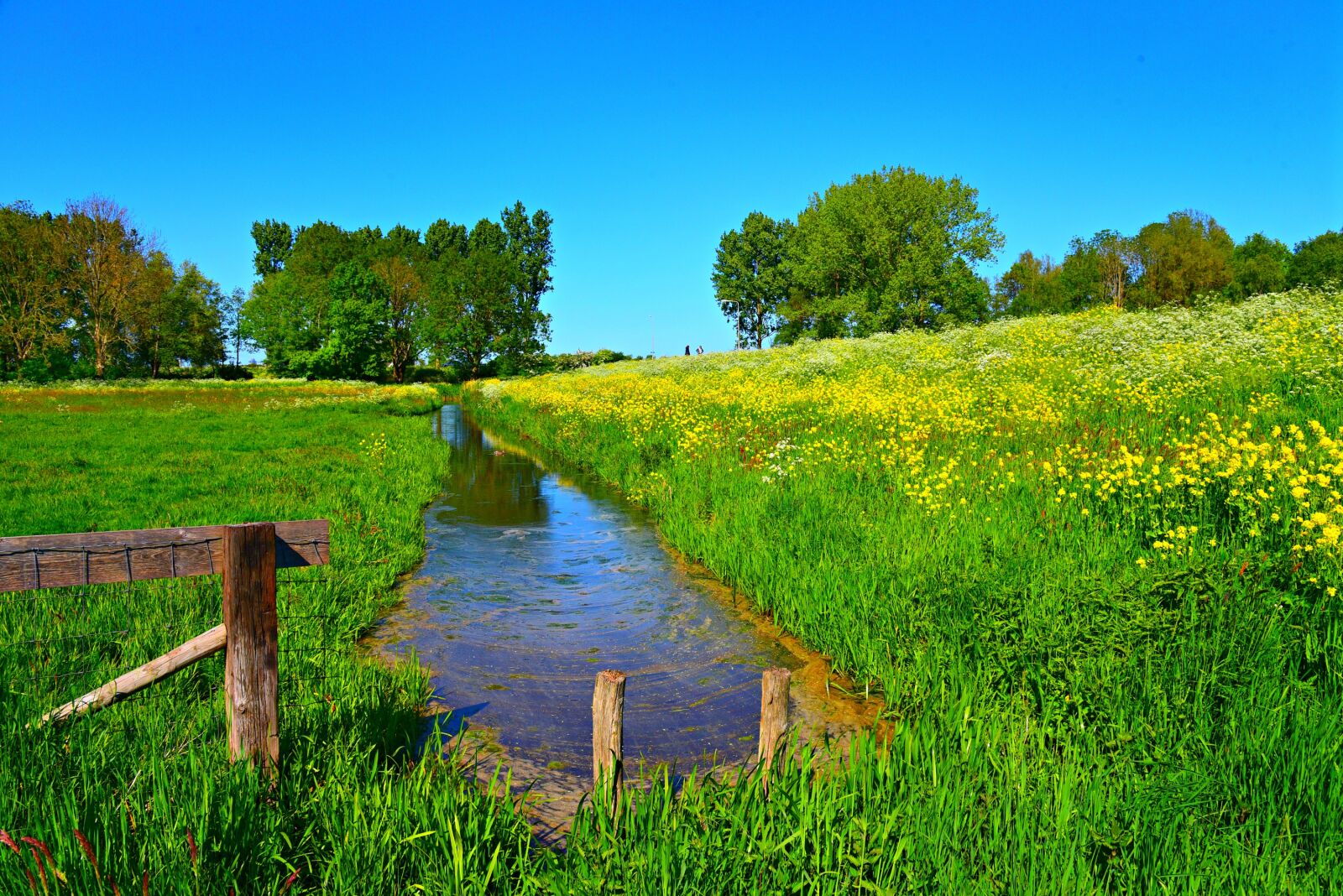 Nikon D750 sample photo. Dutch landscape, ditch, waterway photography