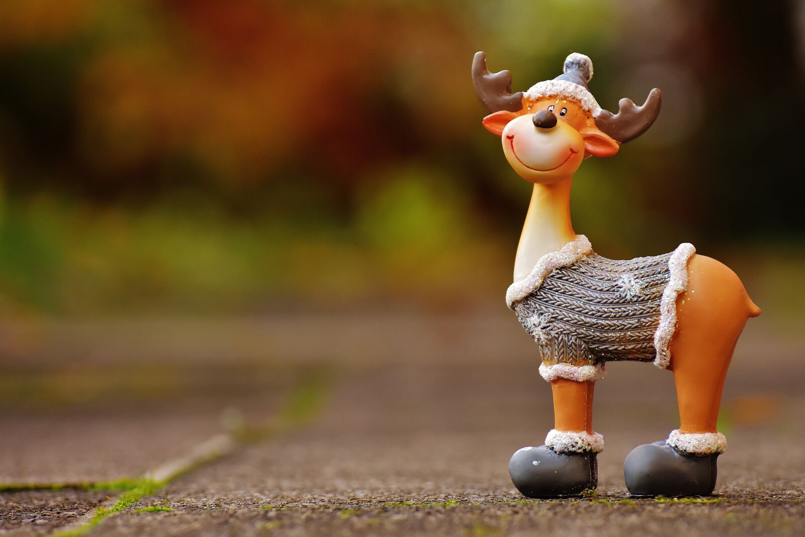 Nikon D7200 sample photo. Moose, christmas, christmas motif photography