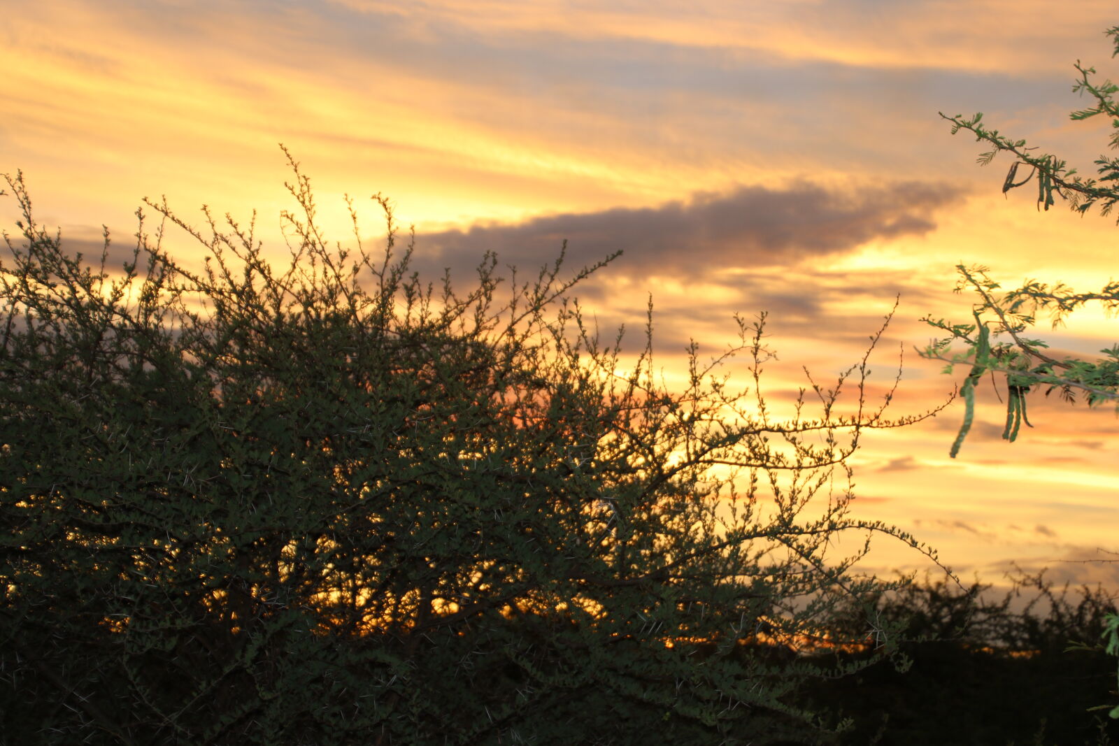 Canon EOS 7D Mark II sample photo. Bushveld, clouds, feld, sky photography