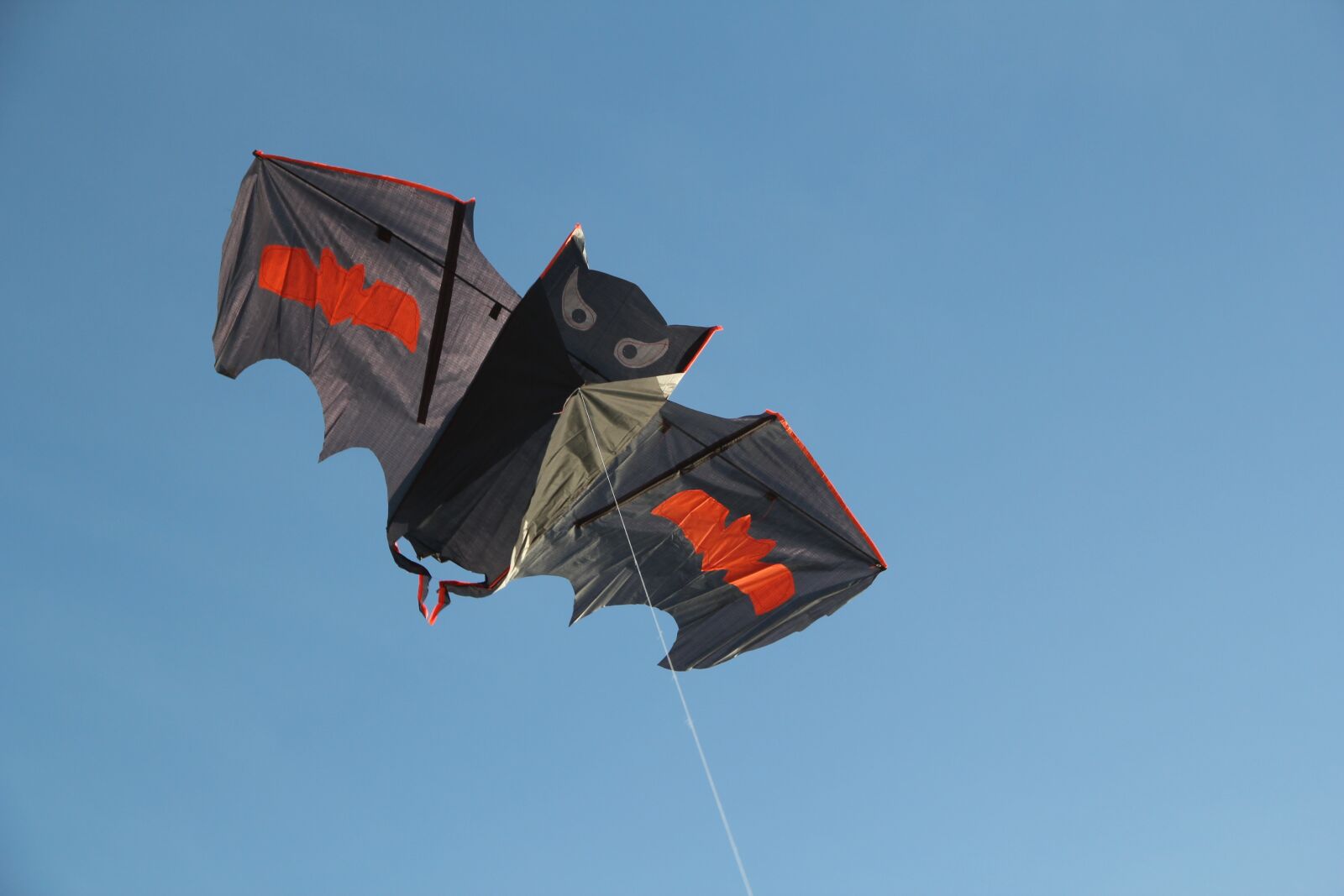 Canon EOS 550D (EOS Rebel T2i / EOS Kiss X4) sample photo. Dragons, windspiel, wind photography