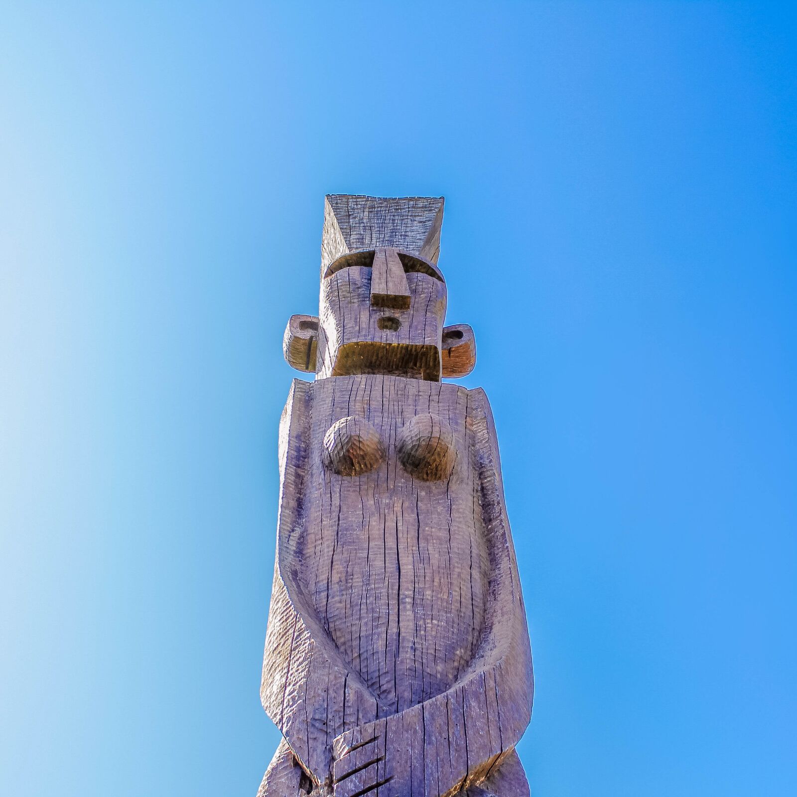 Canon EOS 1200D (EOS Rebel T5 / EOS Kiss X70 / EOS Hi) sample photo. Sculpture, indigenous, indian photography