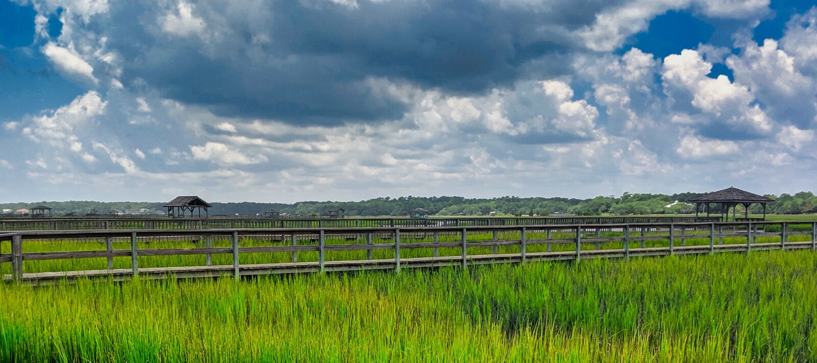 Google Pixel 2 XL sample photo. Pawleys island, south carolina photography