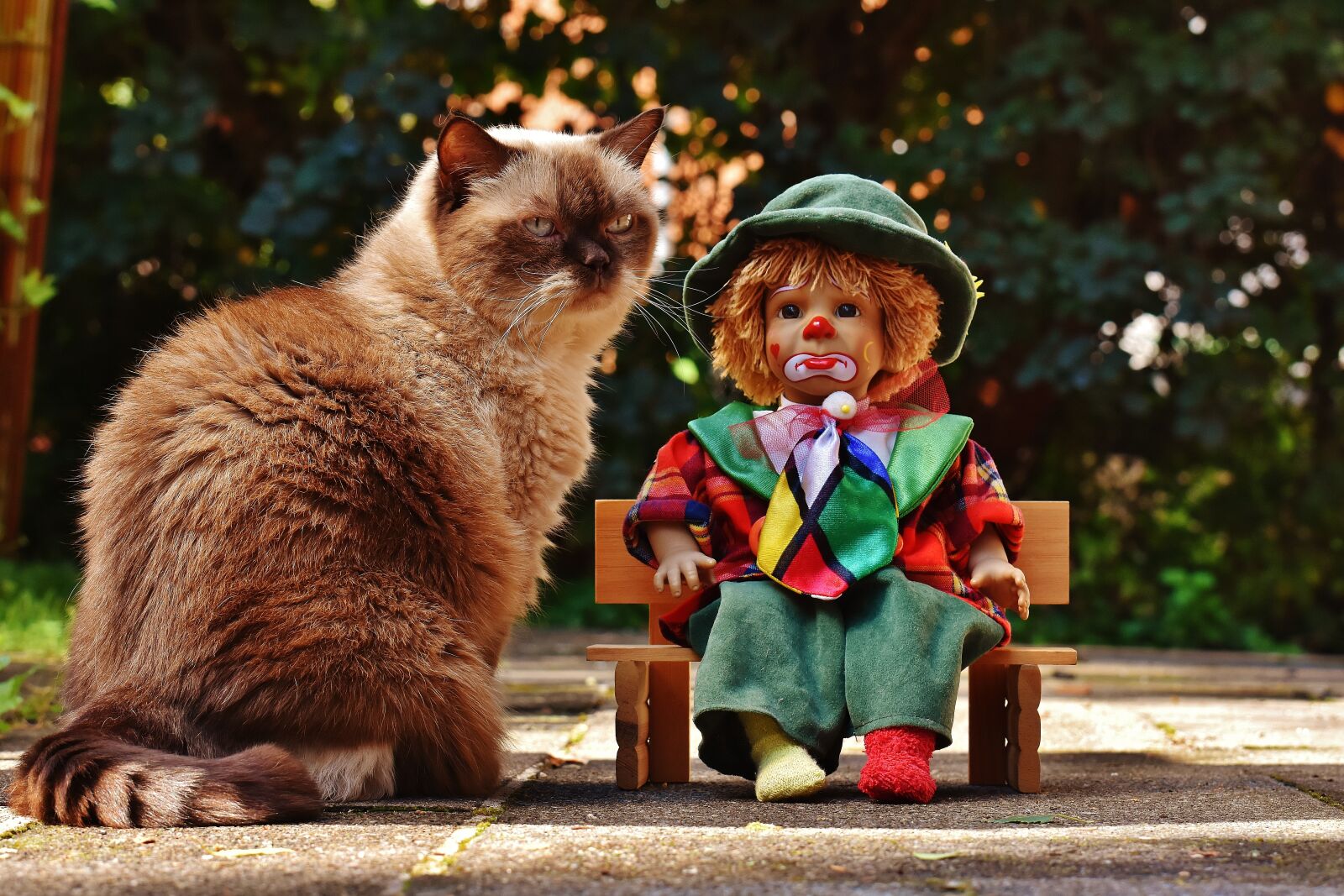 Nikon D7200 sample photo. Doll, clown, sad photography