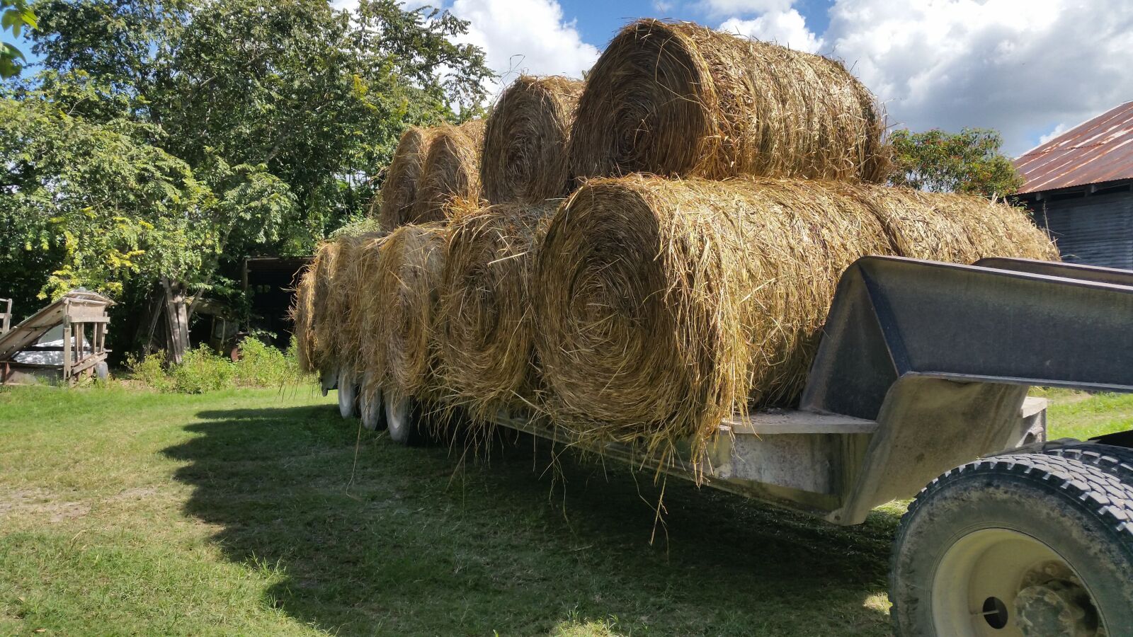 Samsung Galaxy S5 sample photo. Hay, bales, trailer photography